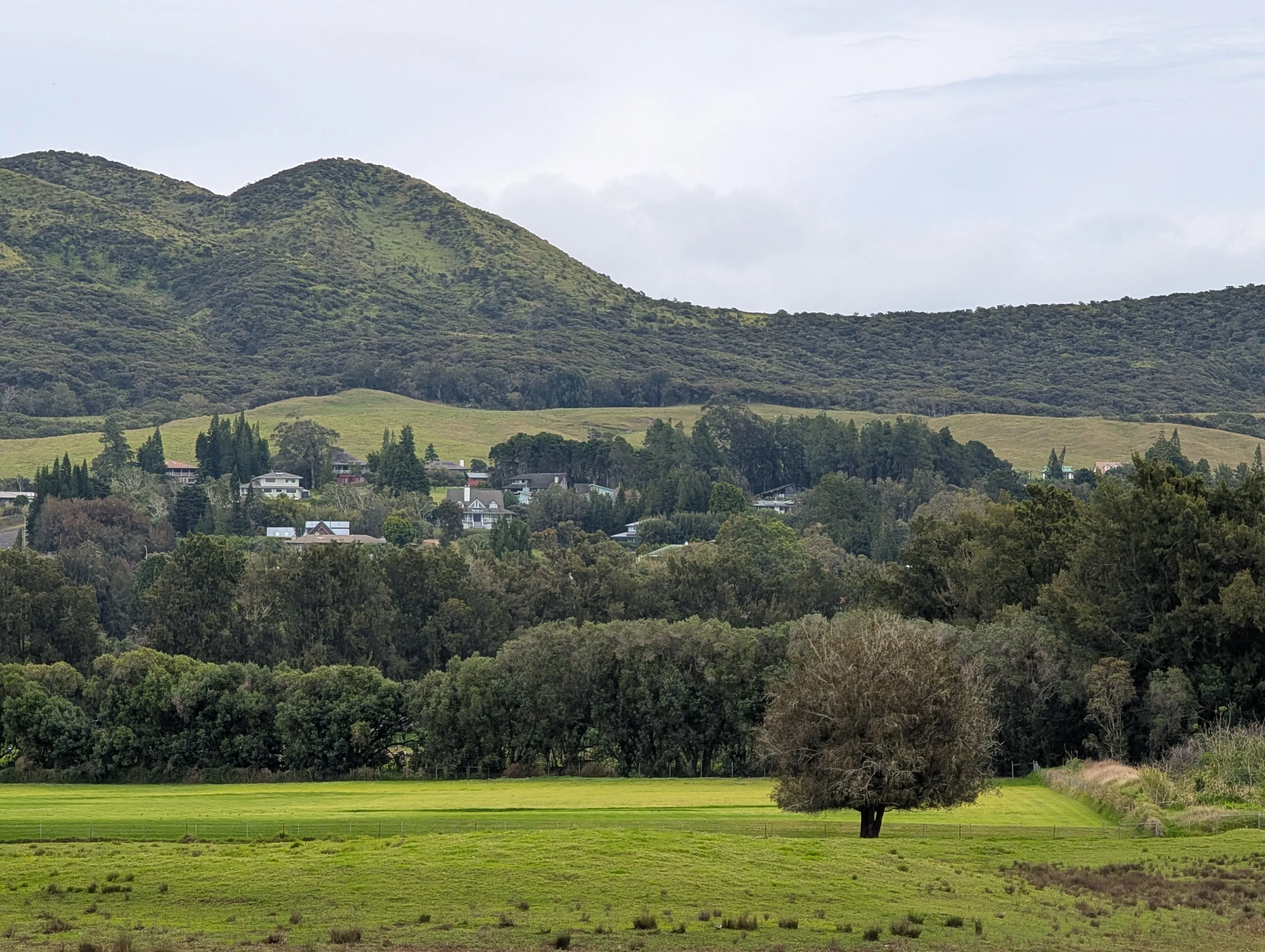 Rolling Hills of Green