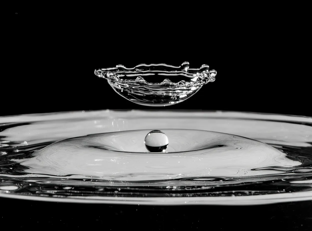 Entry 28720448
