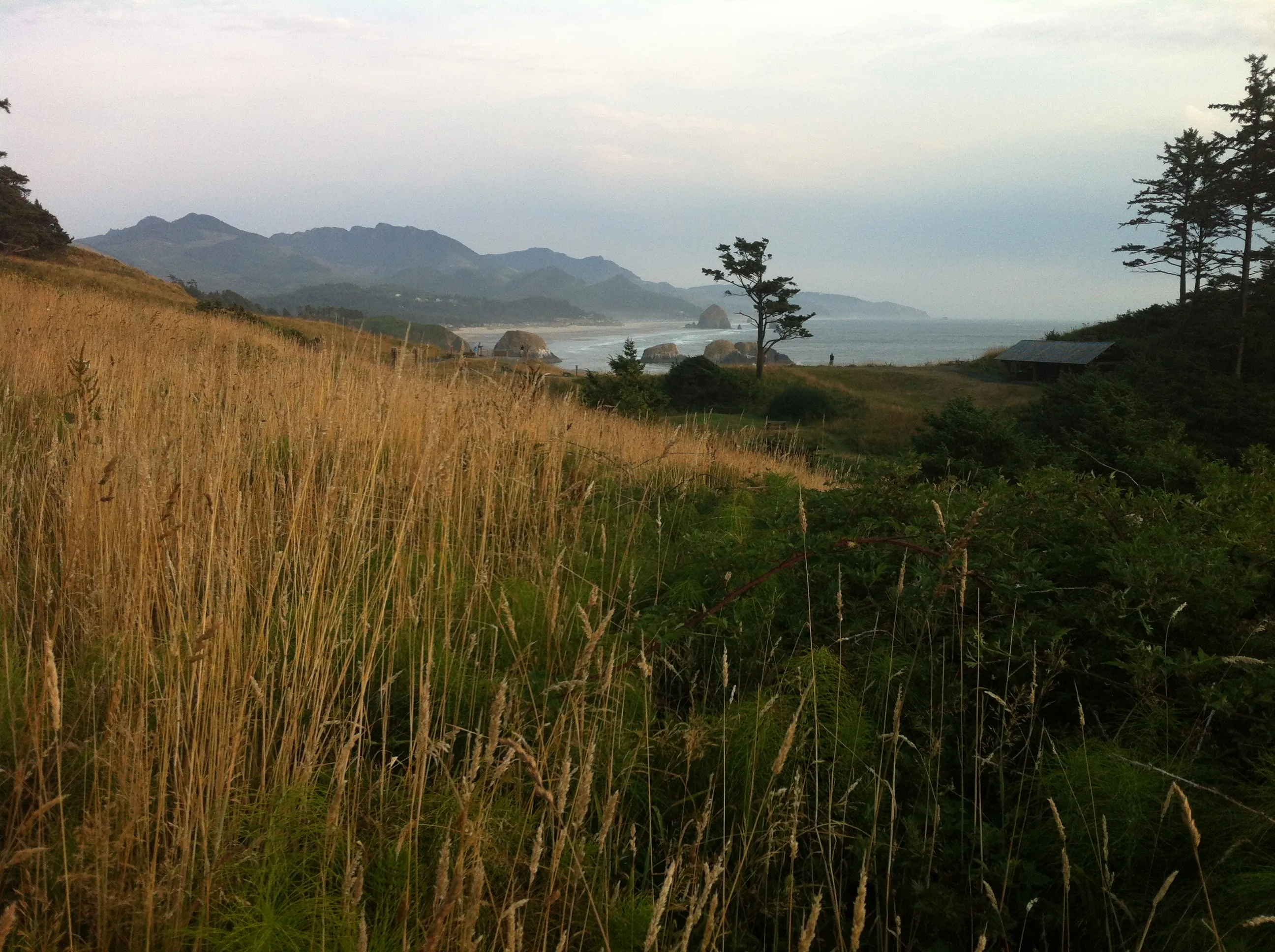 Oregon Coast