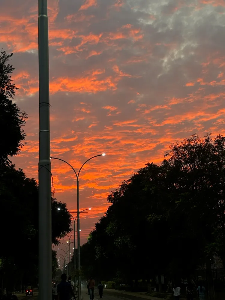 The sunset