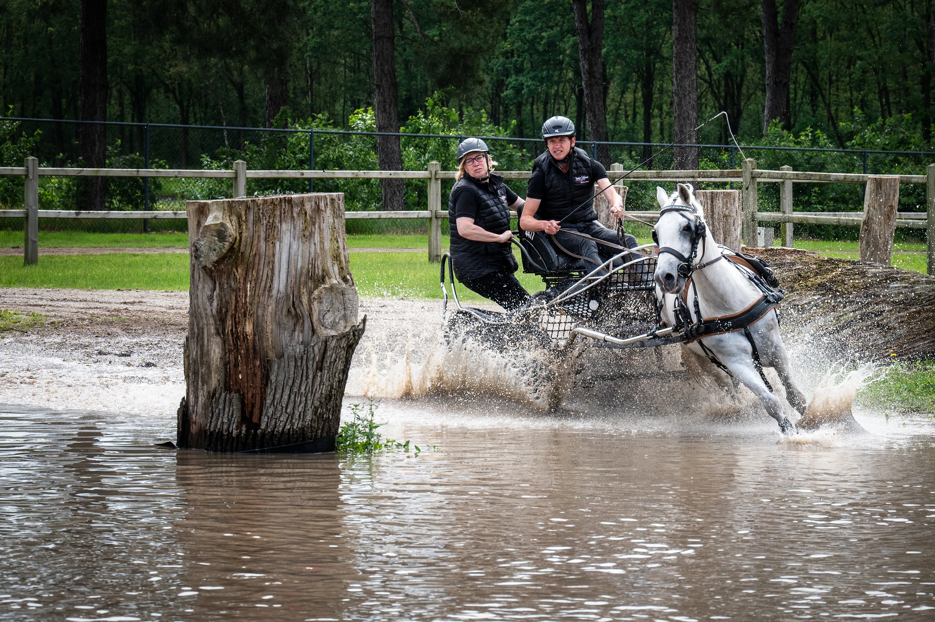 Horse-Drawn Carriages