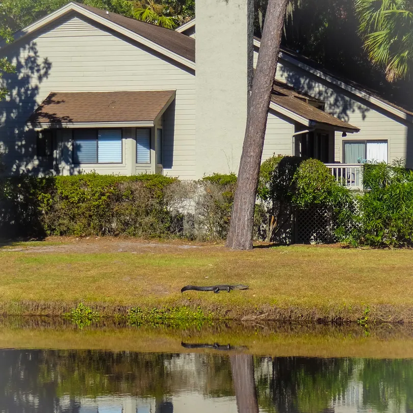 Careful when cutting the grass