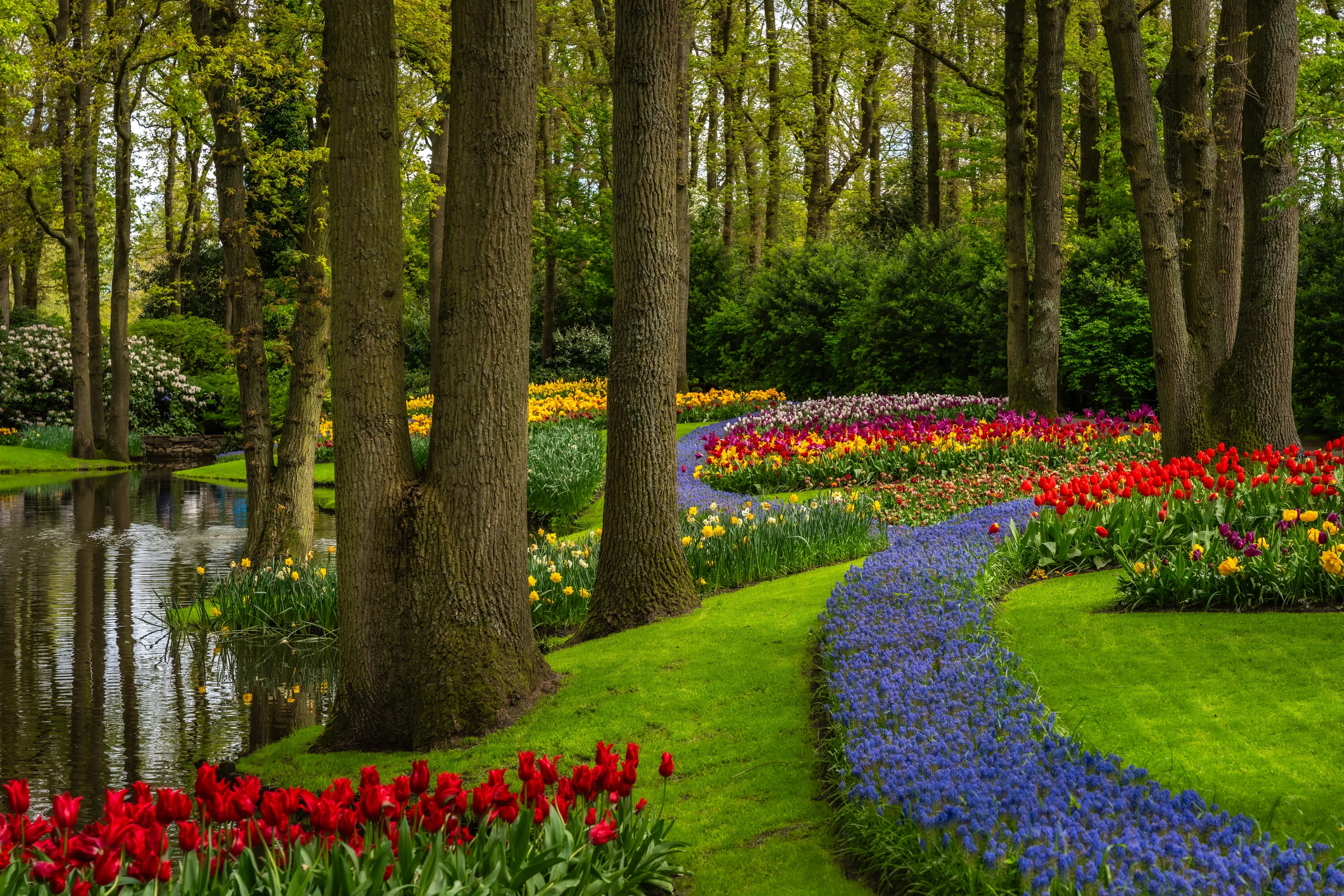 Public Gardens (in colour)
