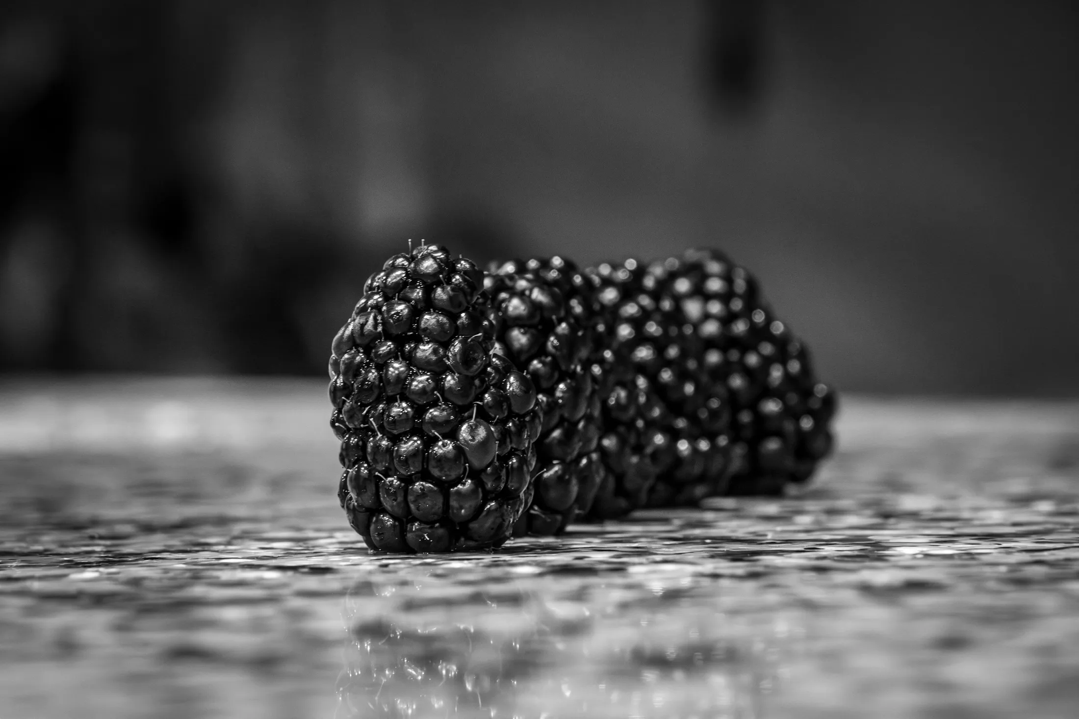 Blackberries in Black and White