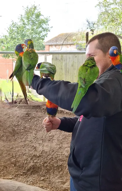 Parakeet party