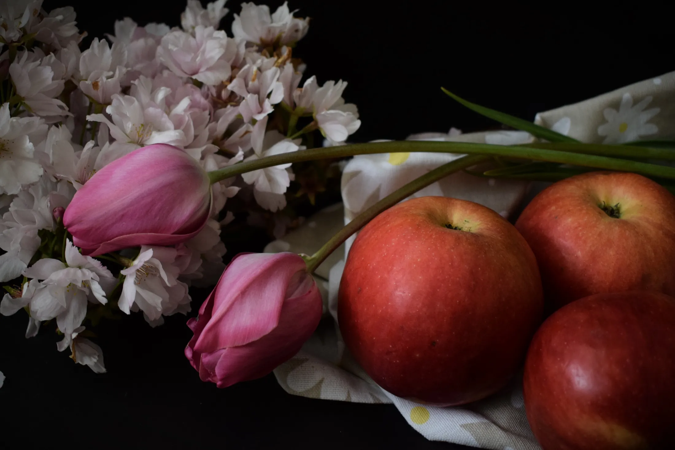 Tulips, japanese cherry tree flowers and apples
