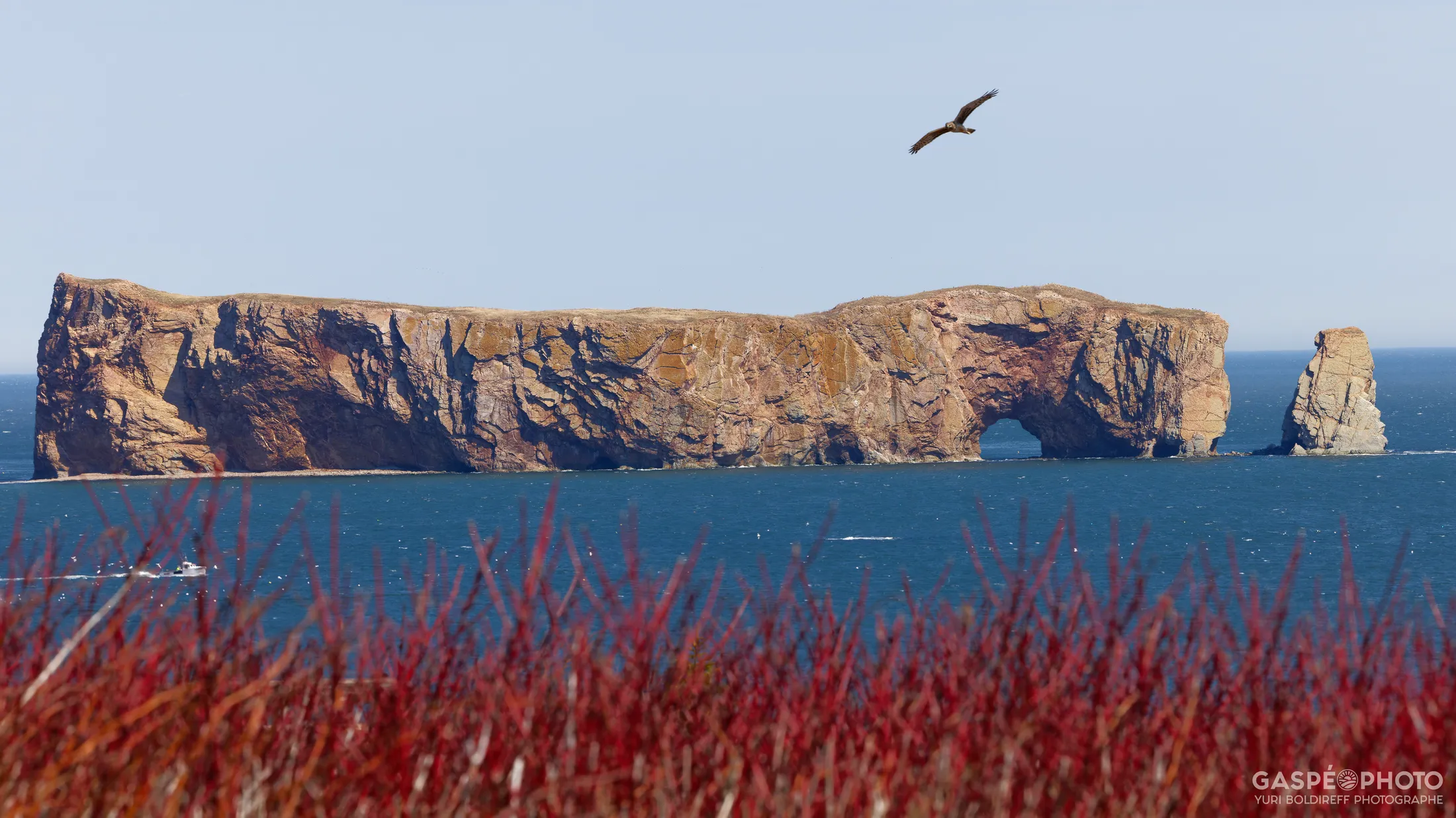 20260504-088A0027_Percé Rock