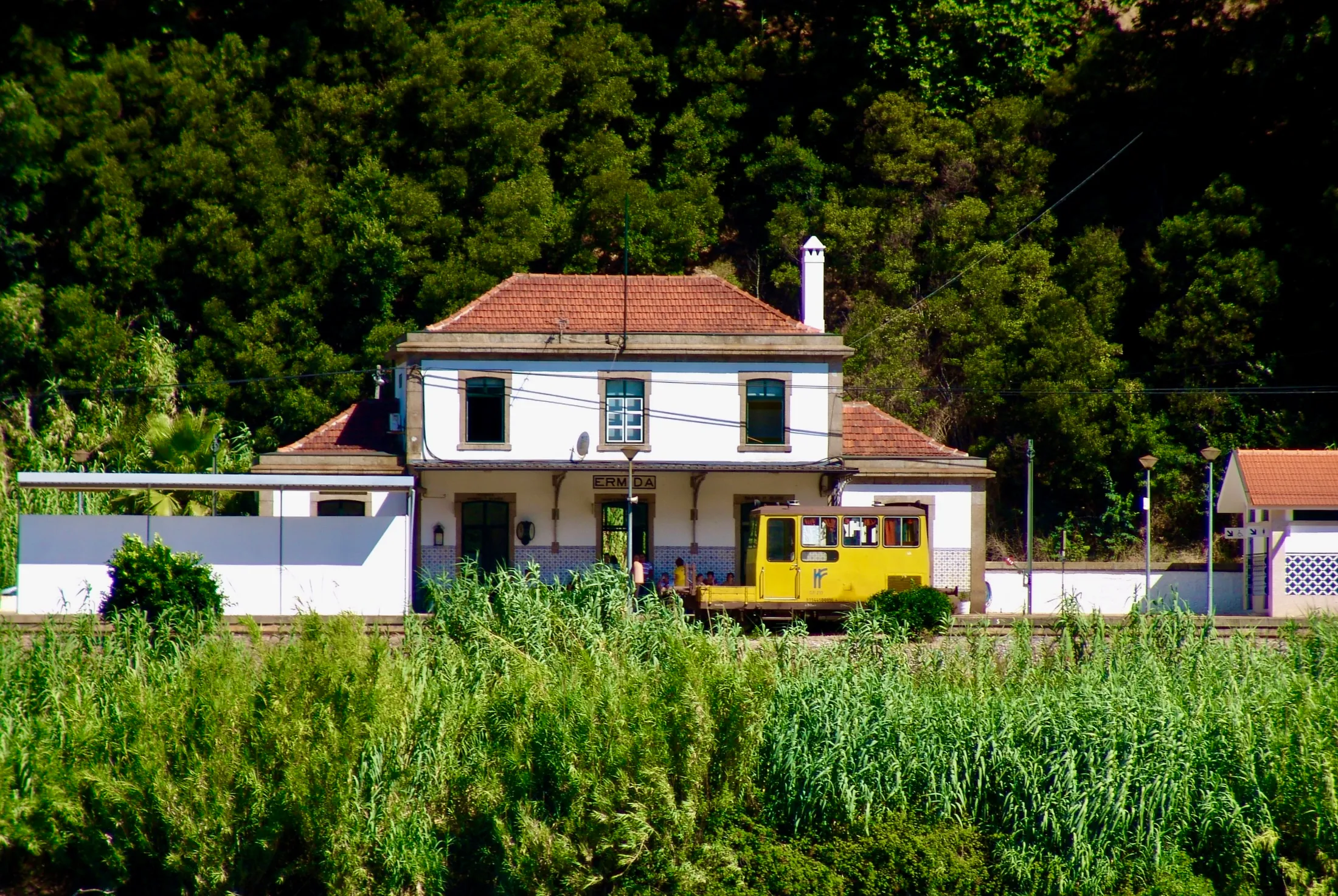 TOY TRAIN?