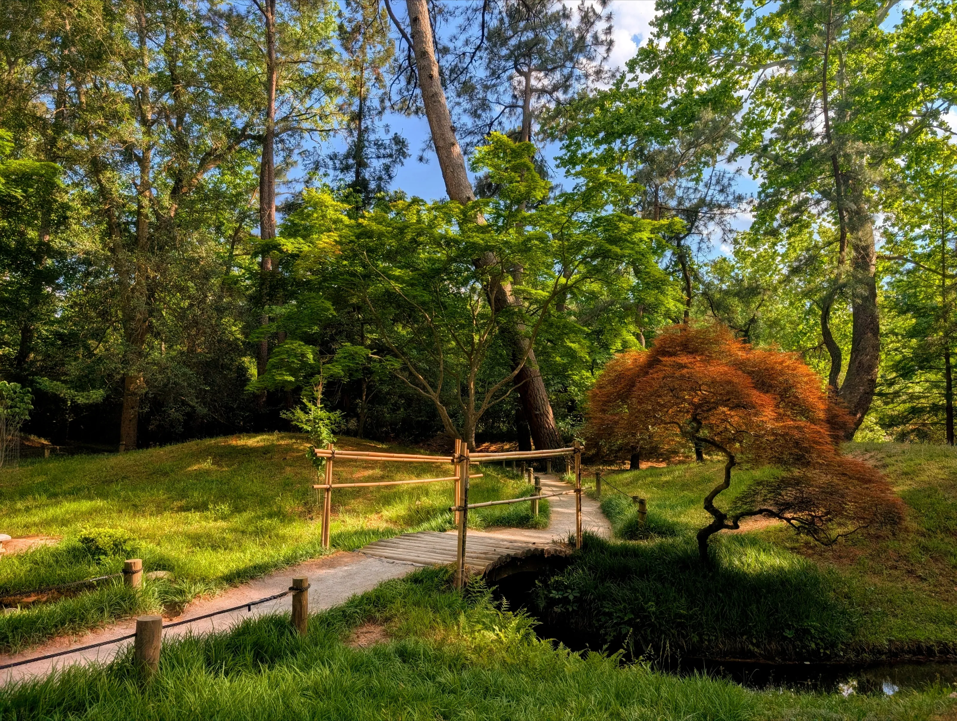 Brief Tranquility