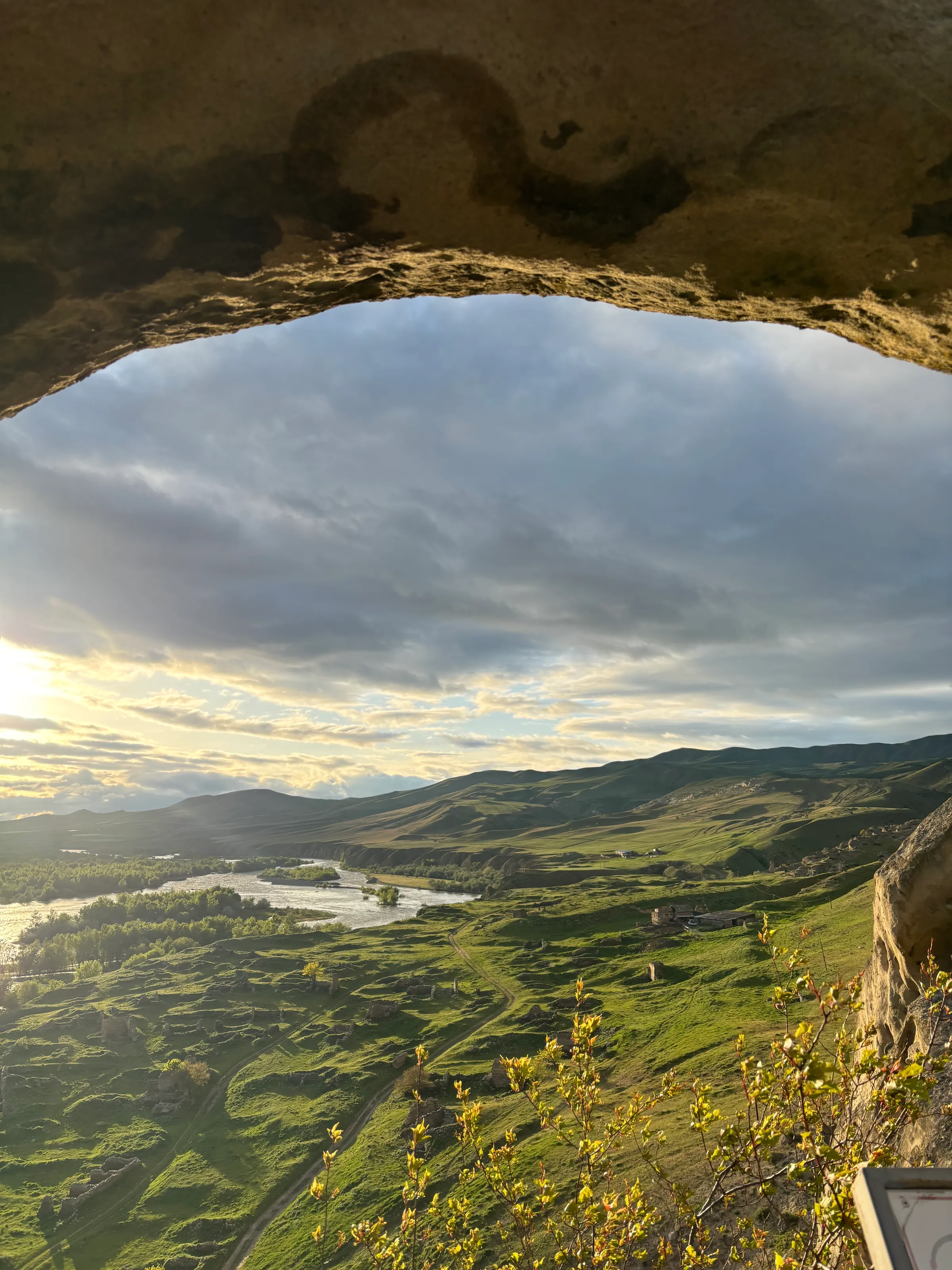Nature beyond the Ruins