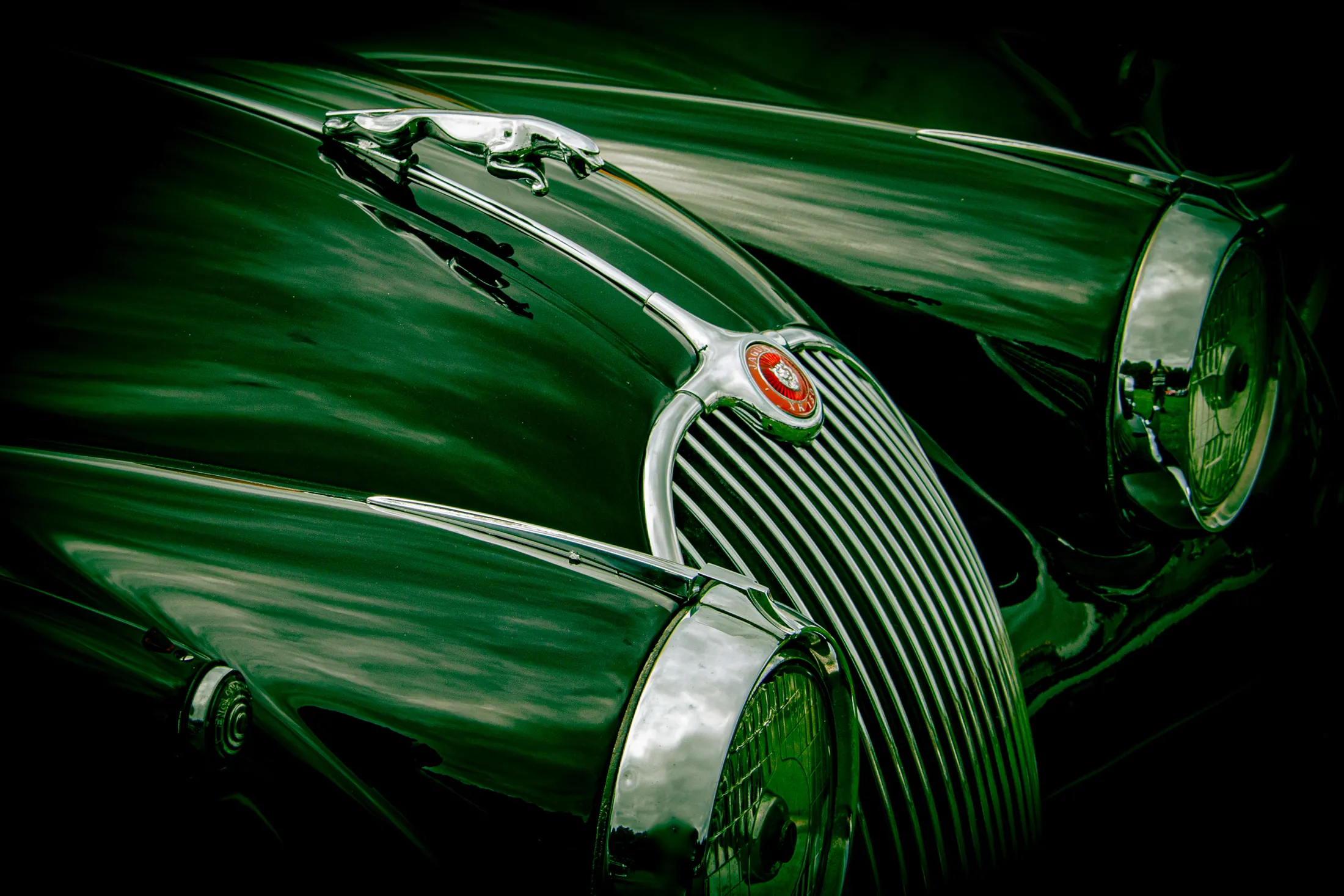 The Jaguar
