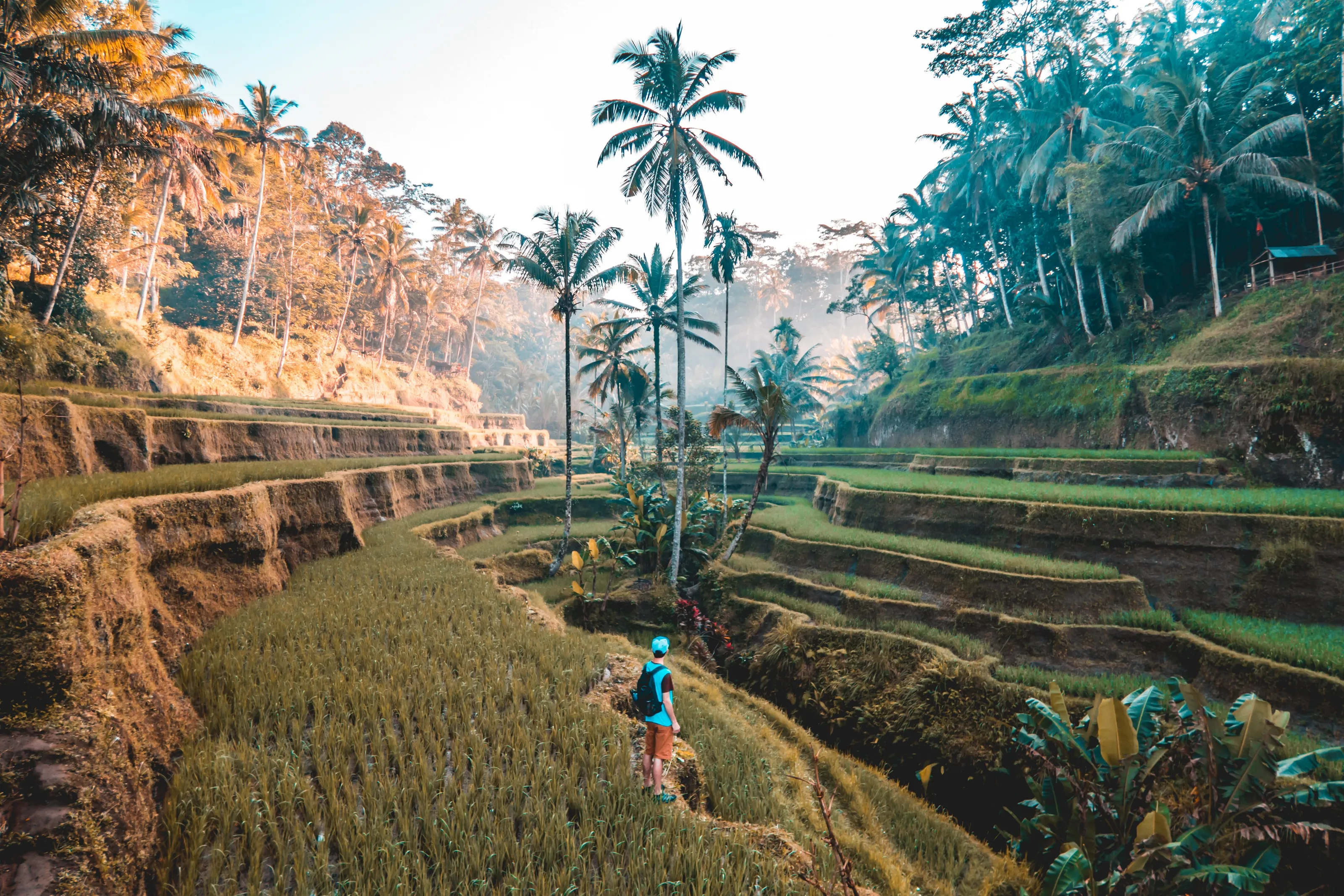 Indonesia
