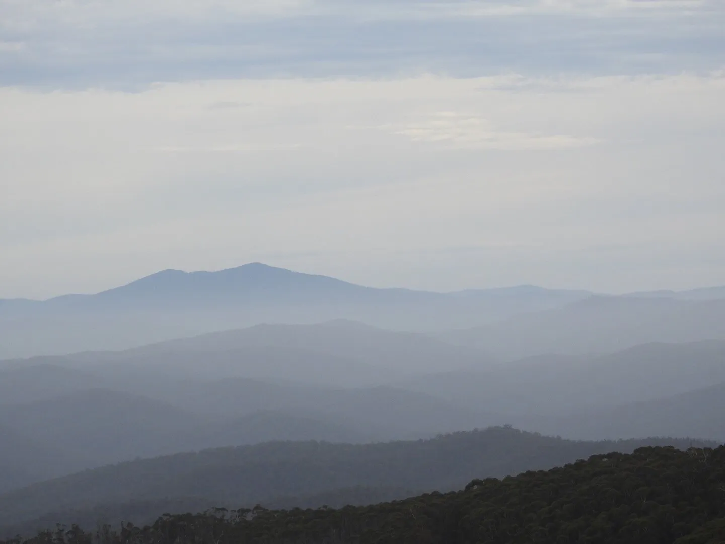 Mt Ellery, Victoria. Australia