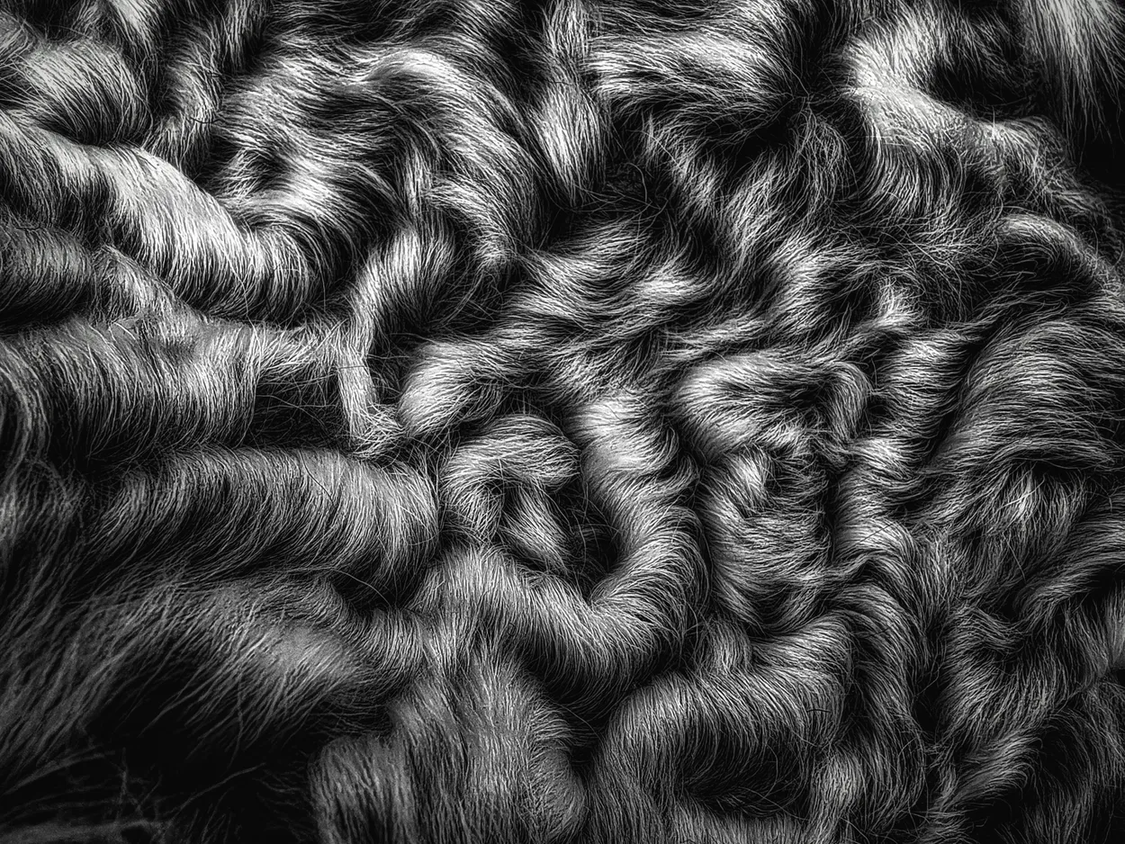 Abstract