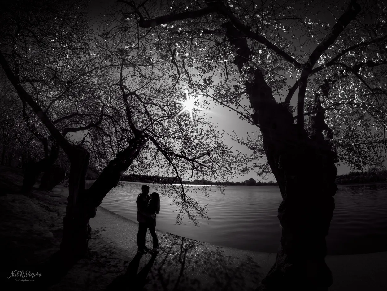 Ephemeral Union