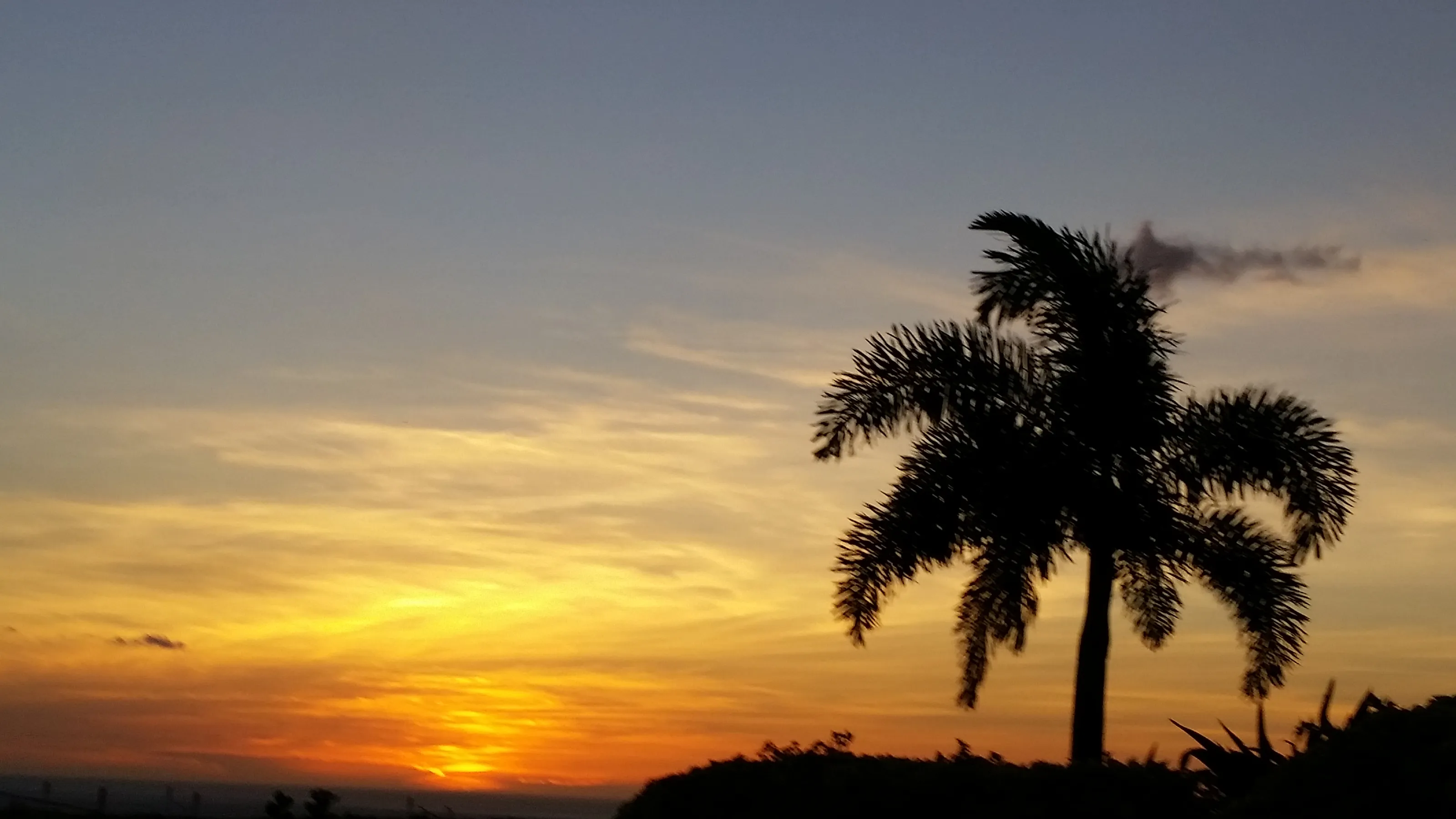 sunset silhouette