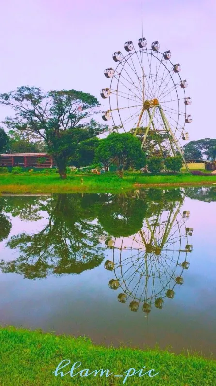Reflections At Lake