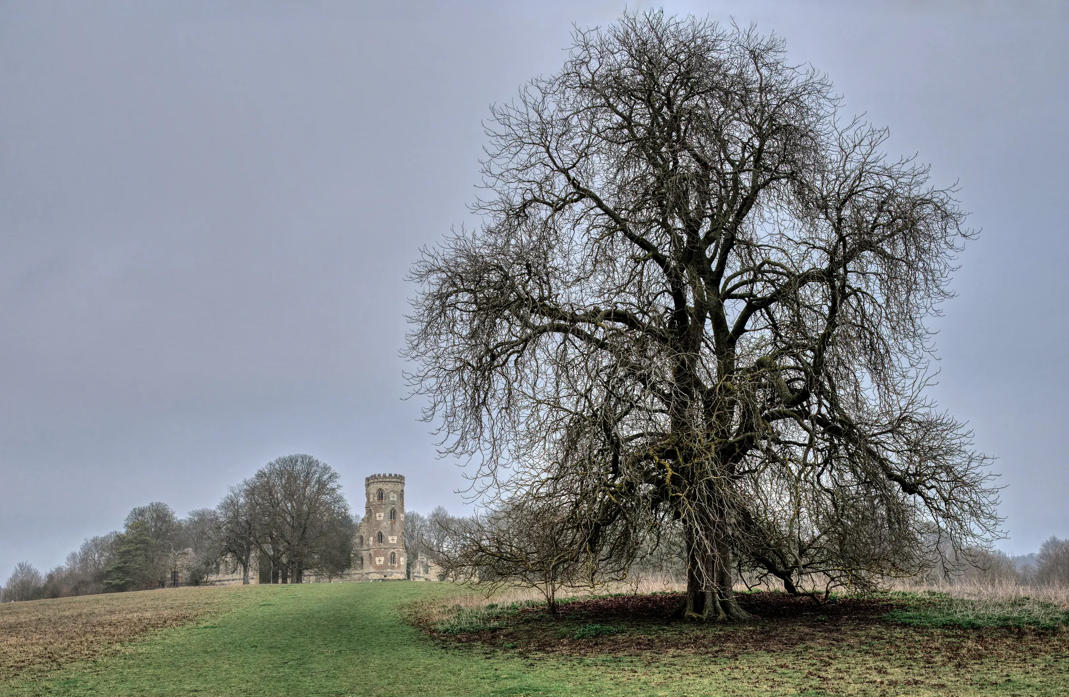 The venerable majestic tree and the folly.....