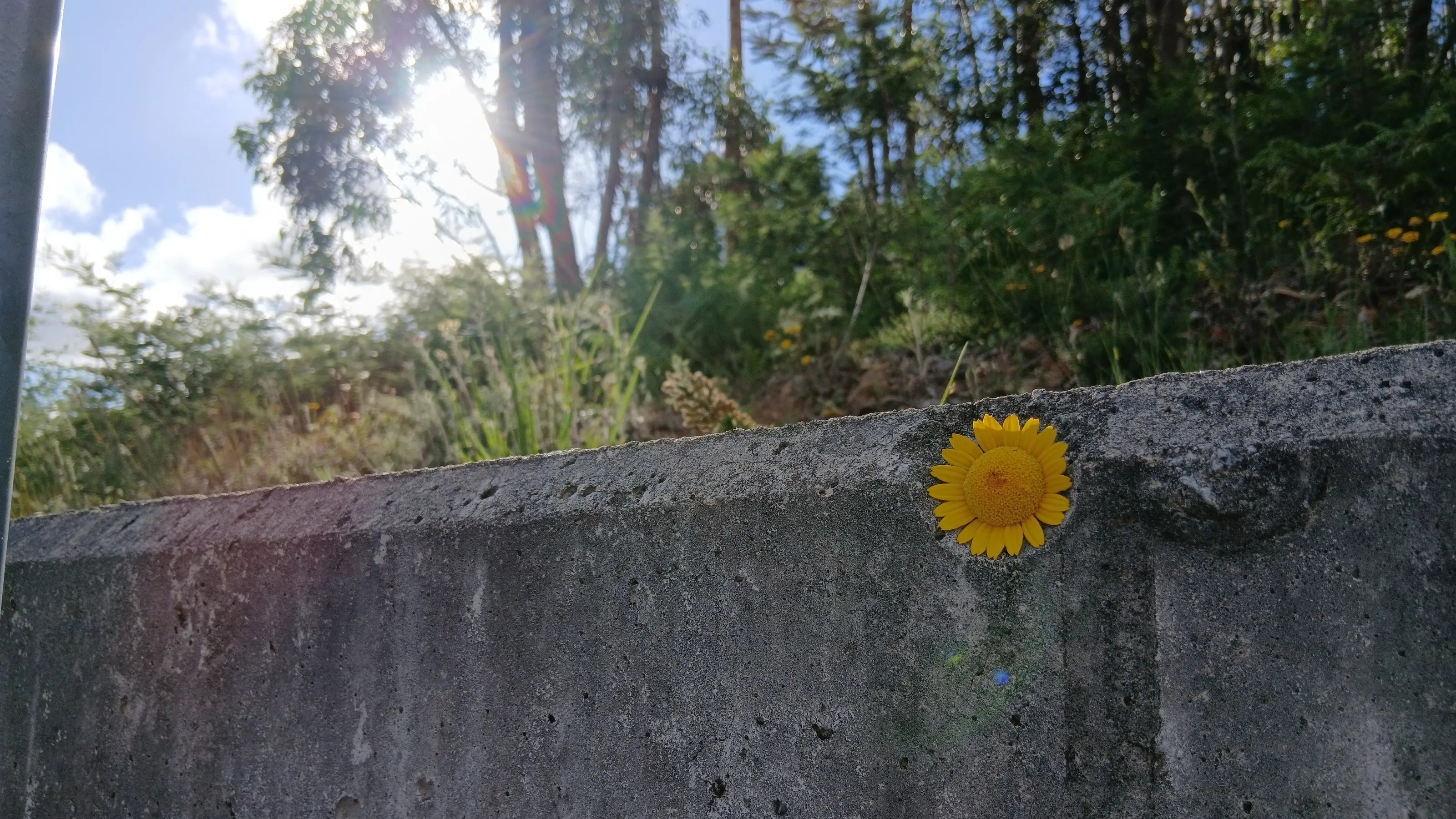The Power of Gentleness