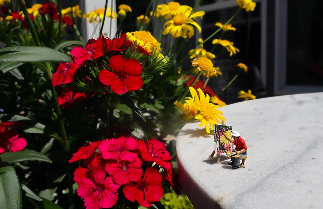 Capturing the Garden