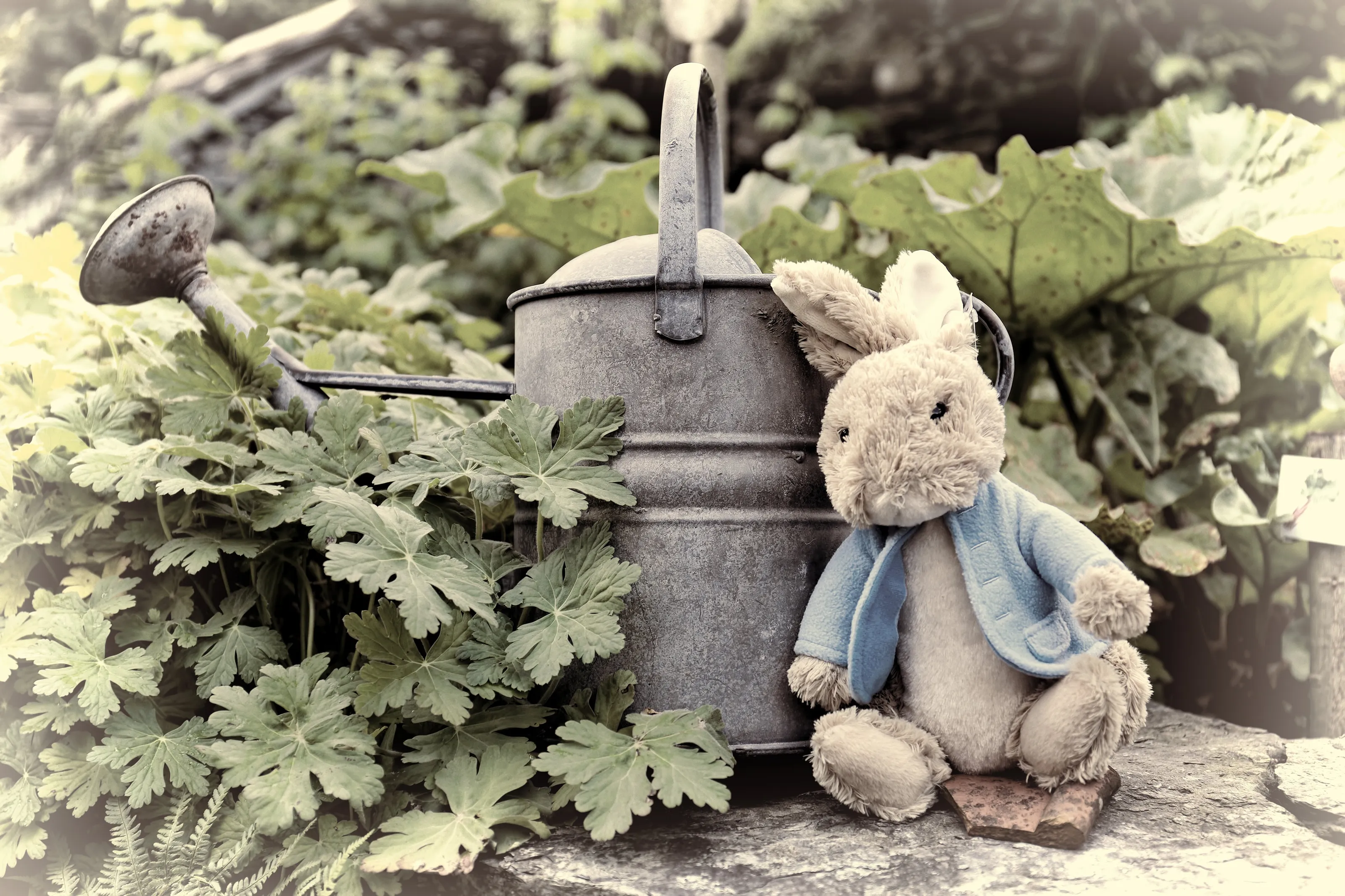 Peter Rabbit