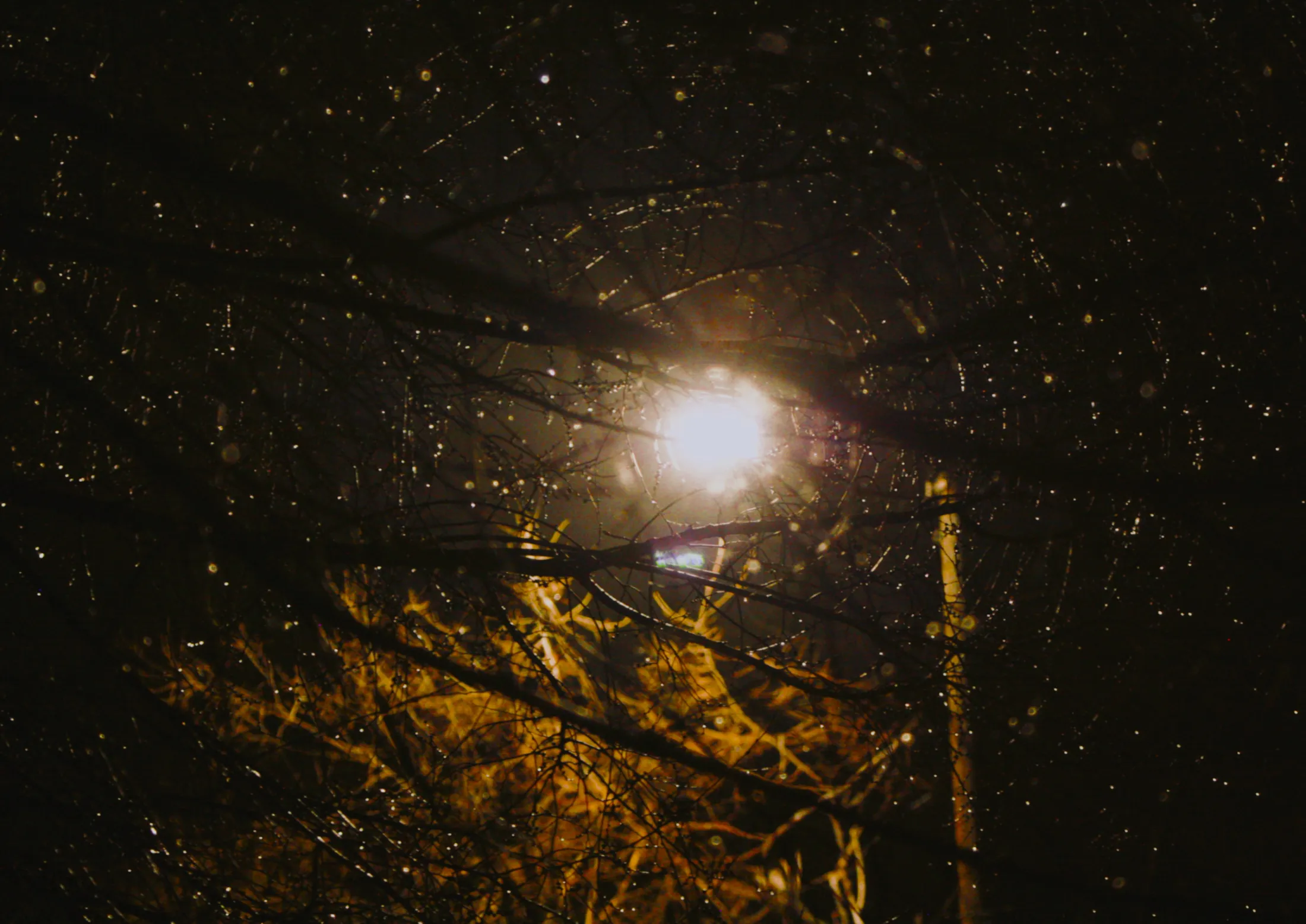 Untitled image
