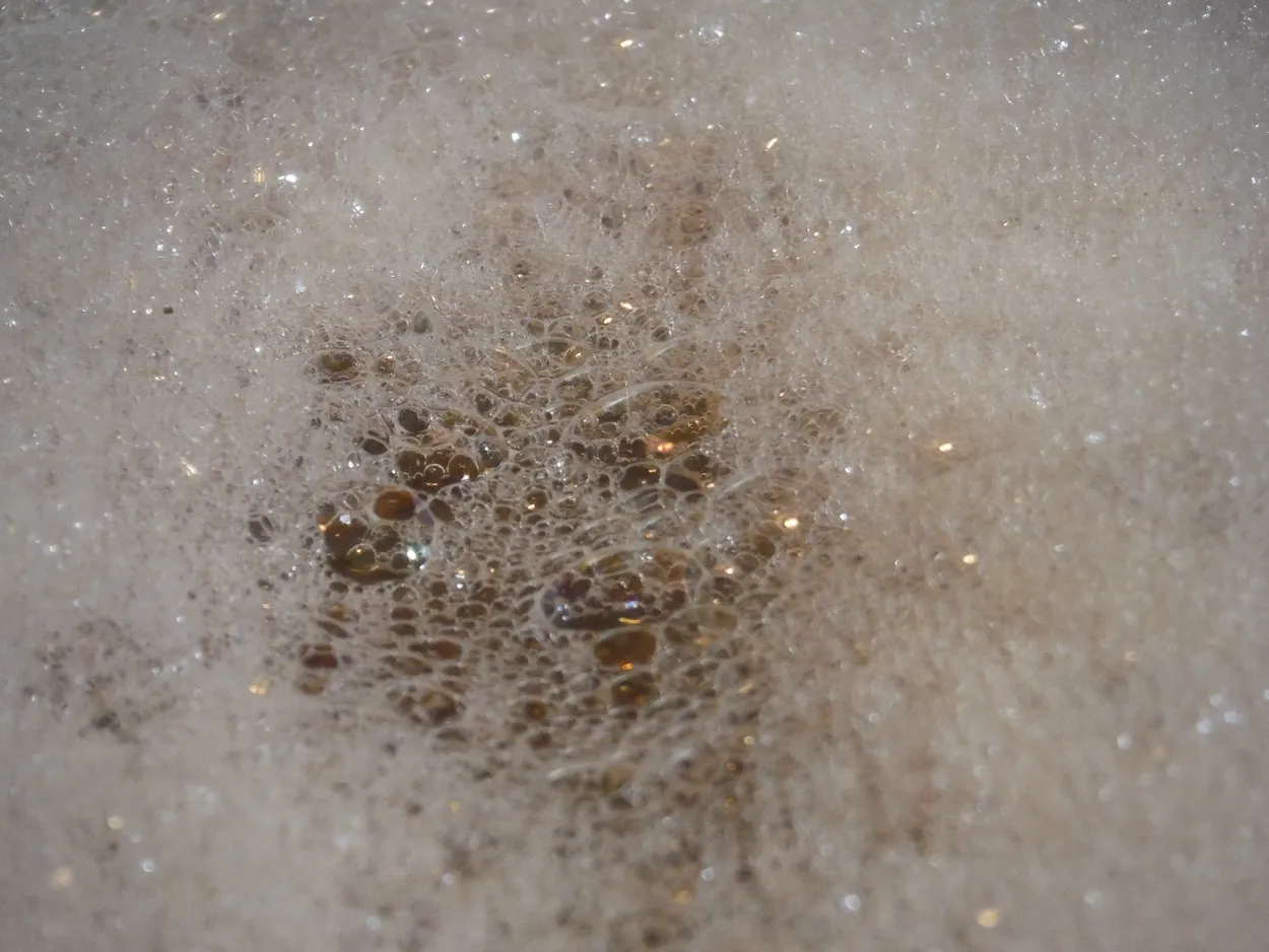 Untitled image