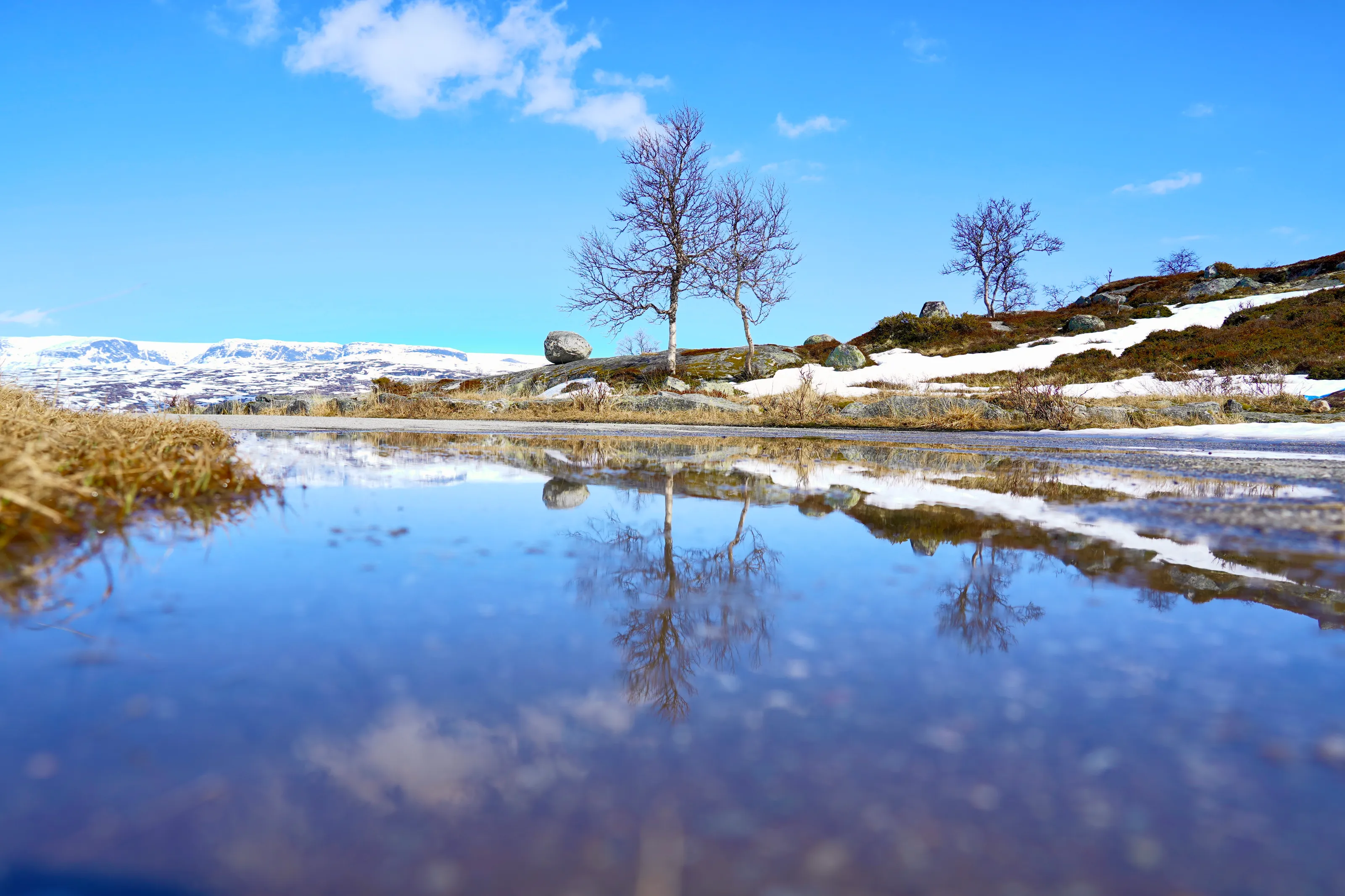 Where Winter Meets Spring”