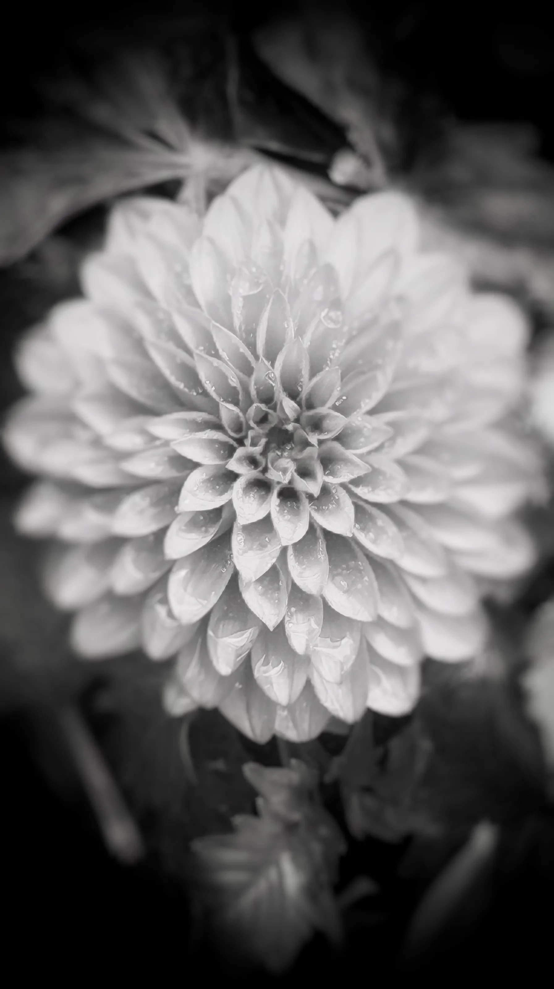 Retouch ~ Vignetting