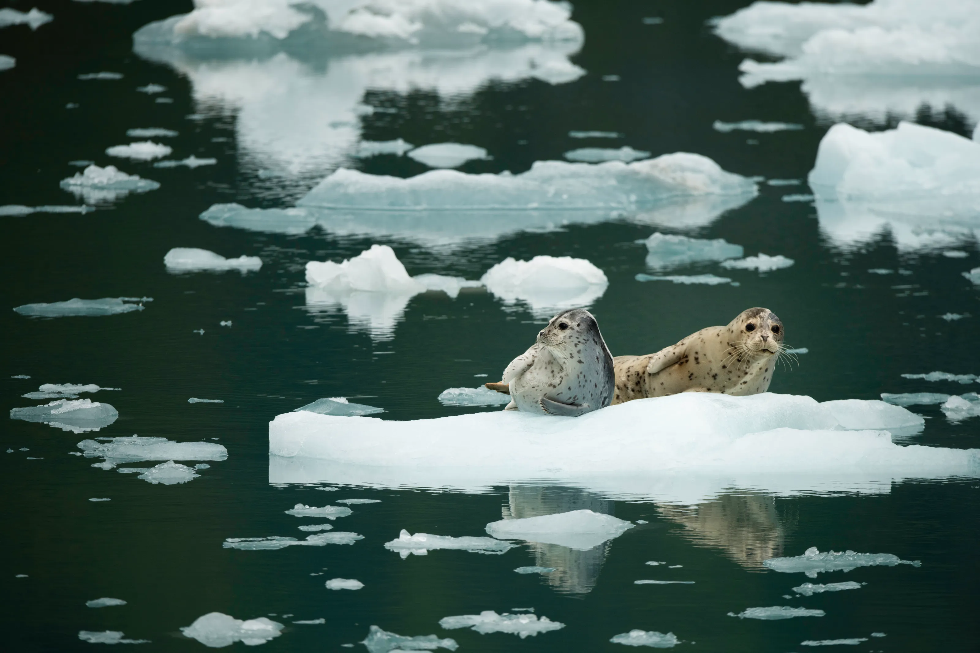 Chillin'