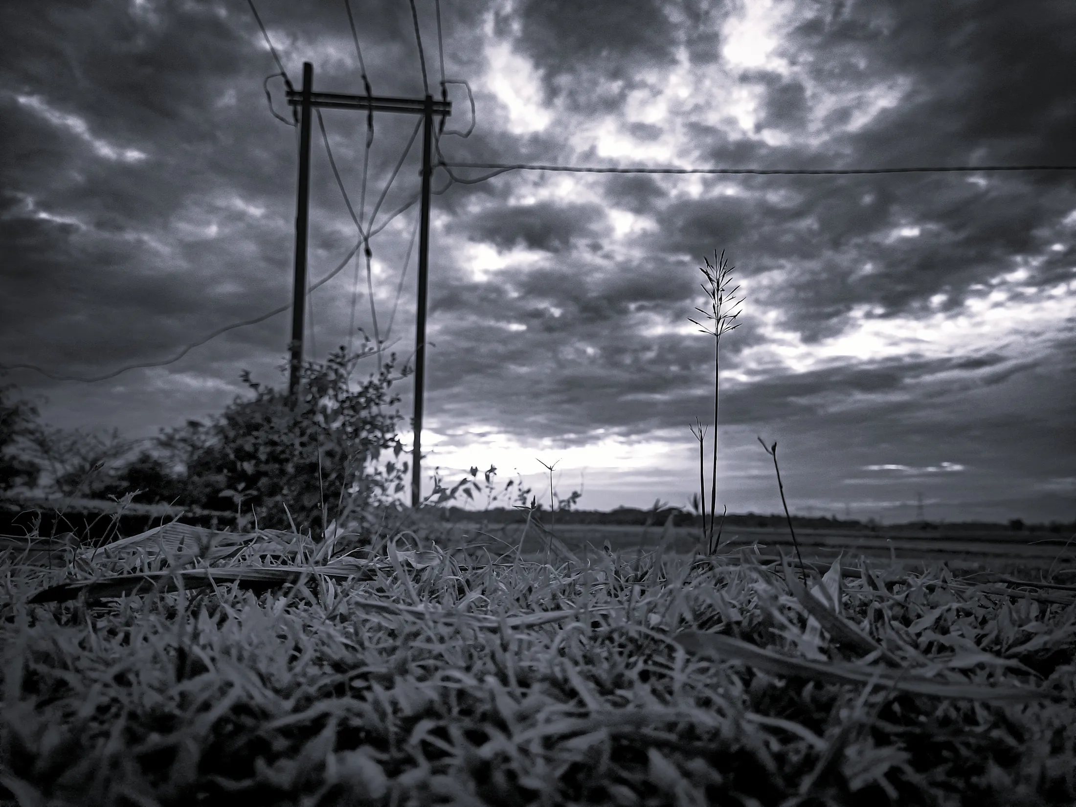 Silence before the sky breaks...