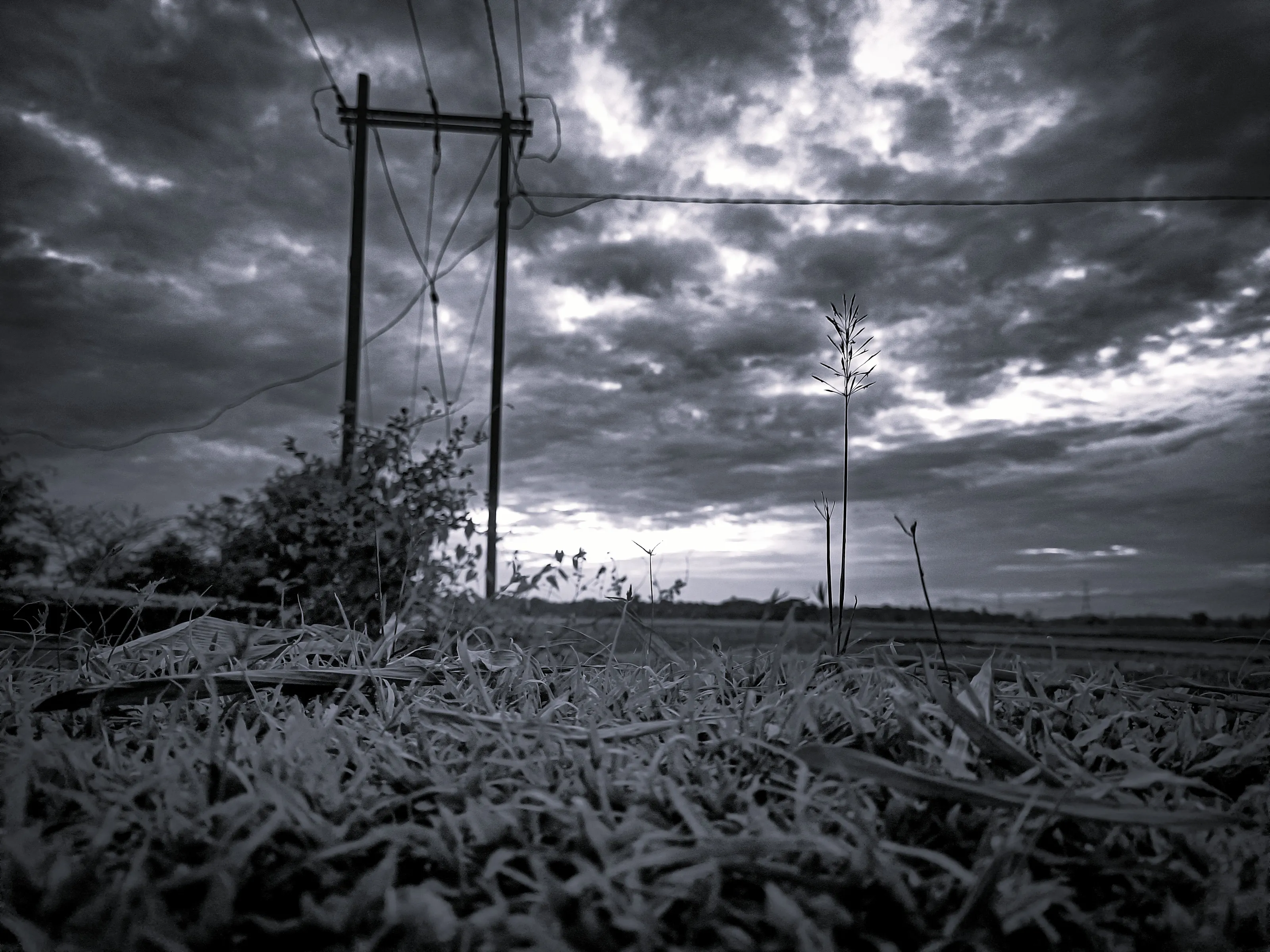 Silence before the sky breaks...