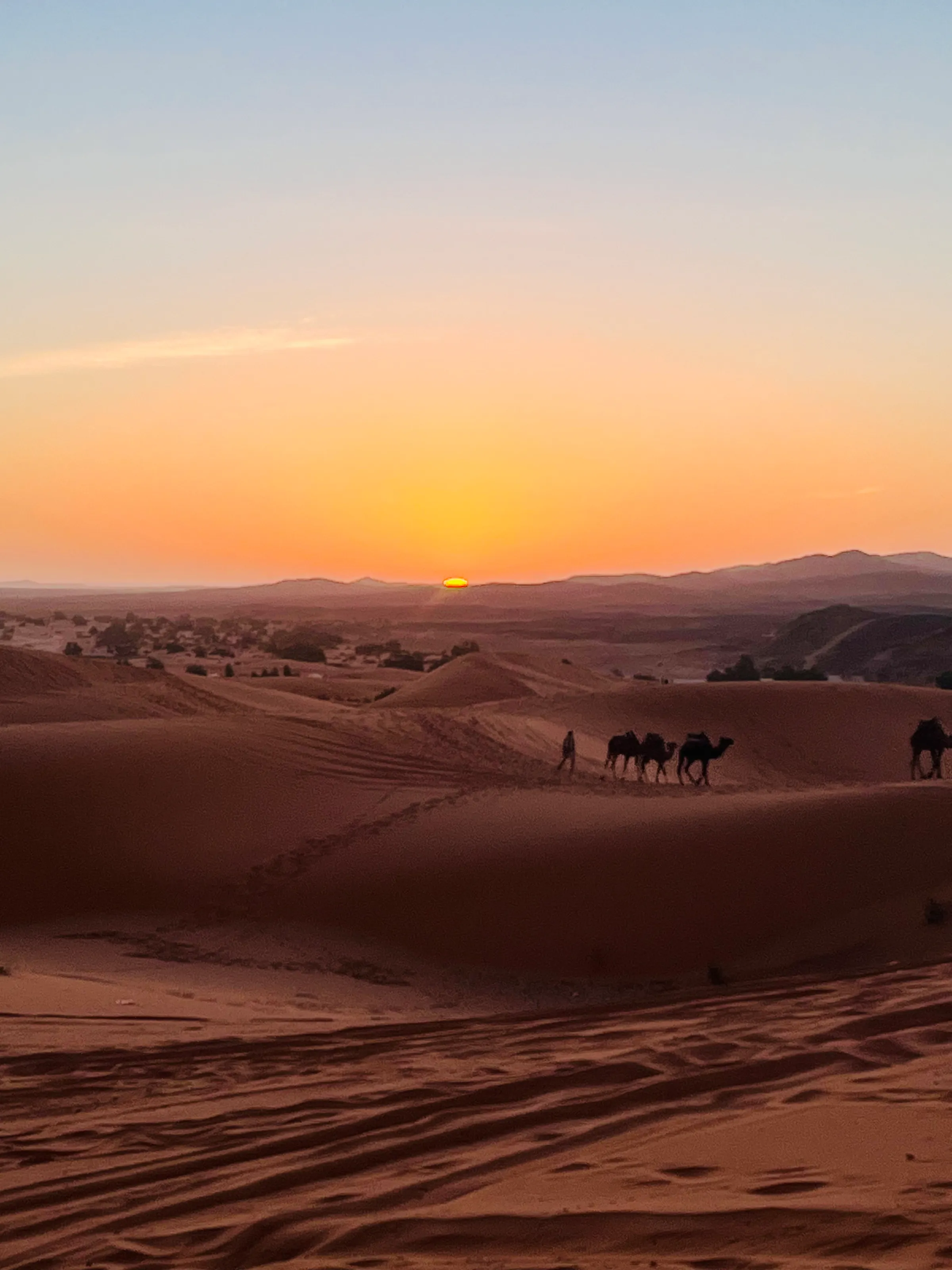 Where the Desert Wakes!!