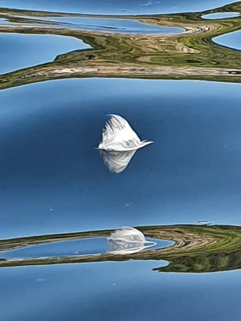 Floating feather