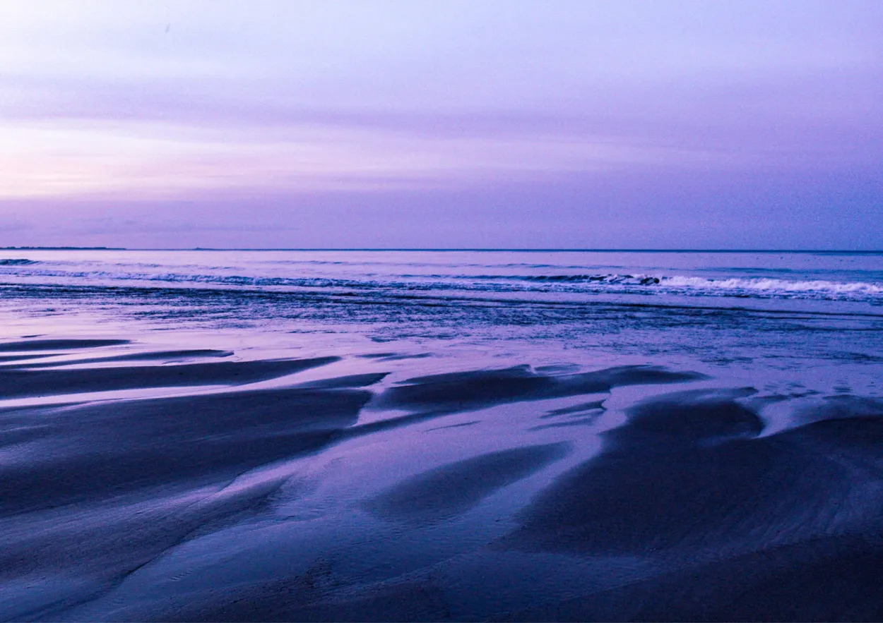 Lavender Shore