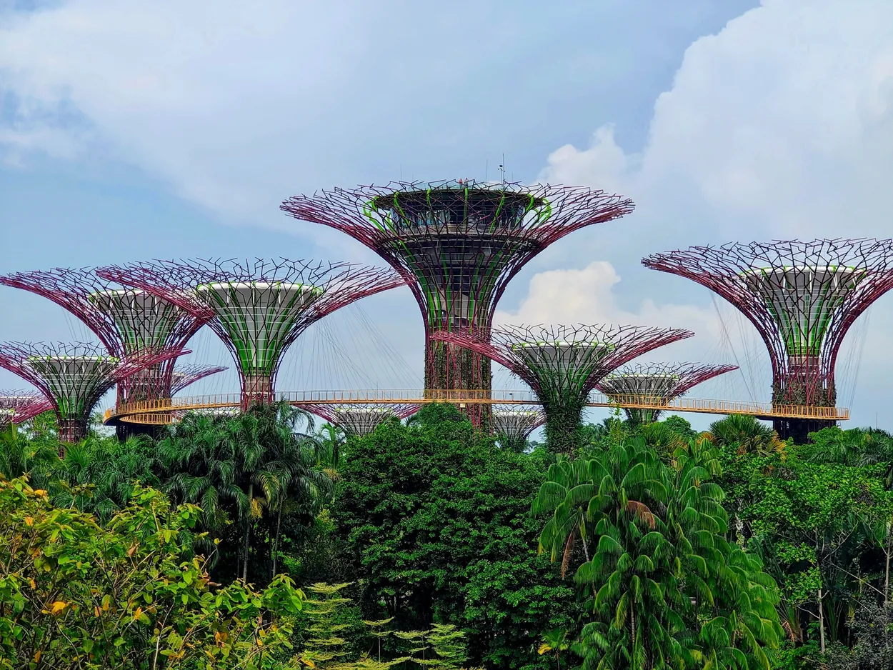 Growth and Architectural Ambition in Asia