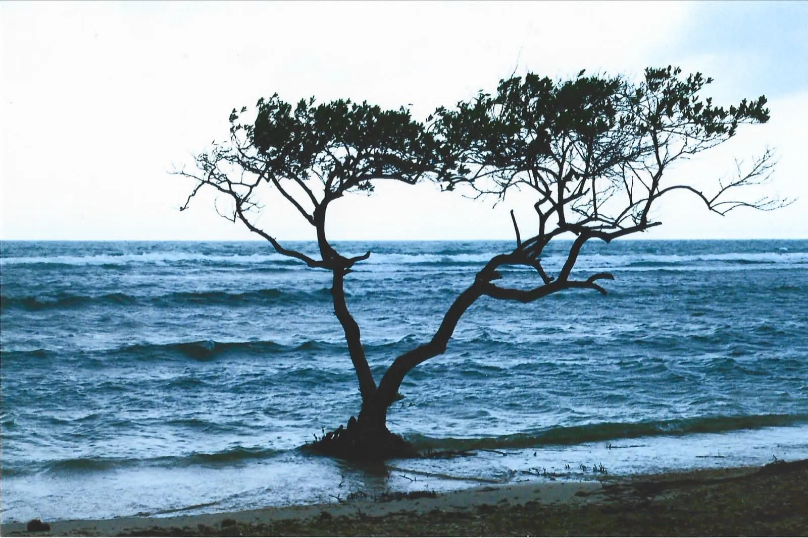 still standing