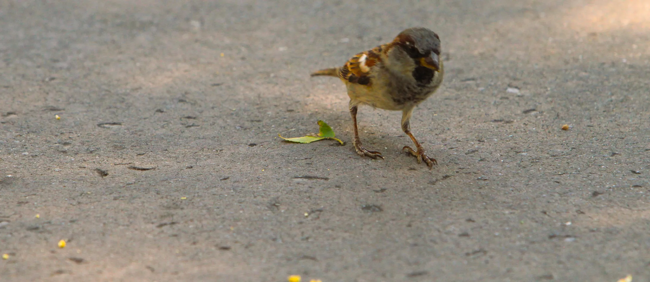small steps