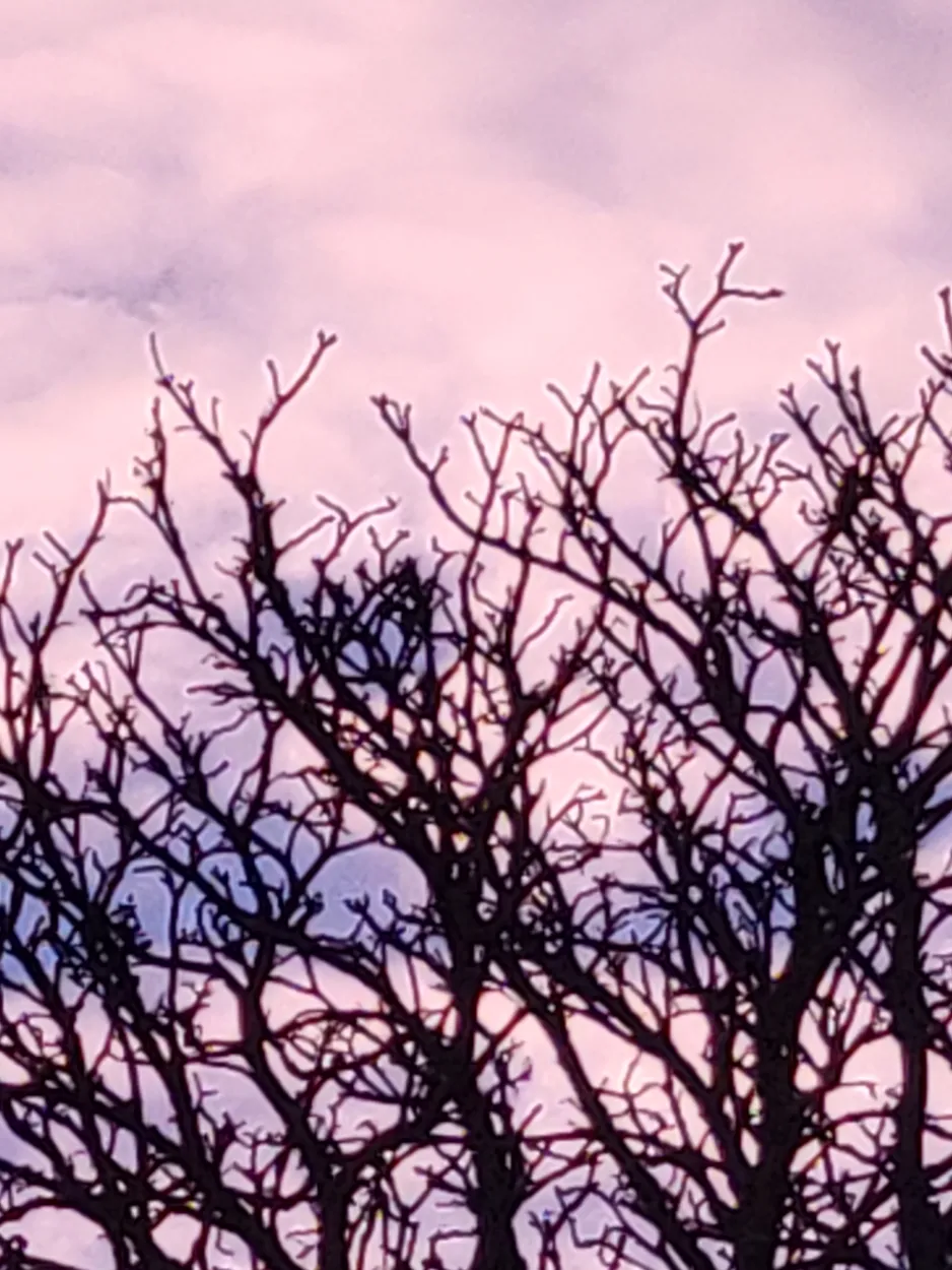 Untitled image