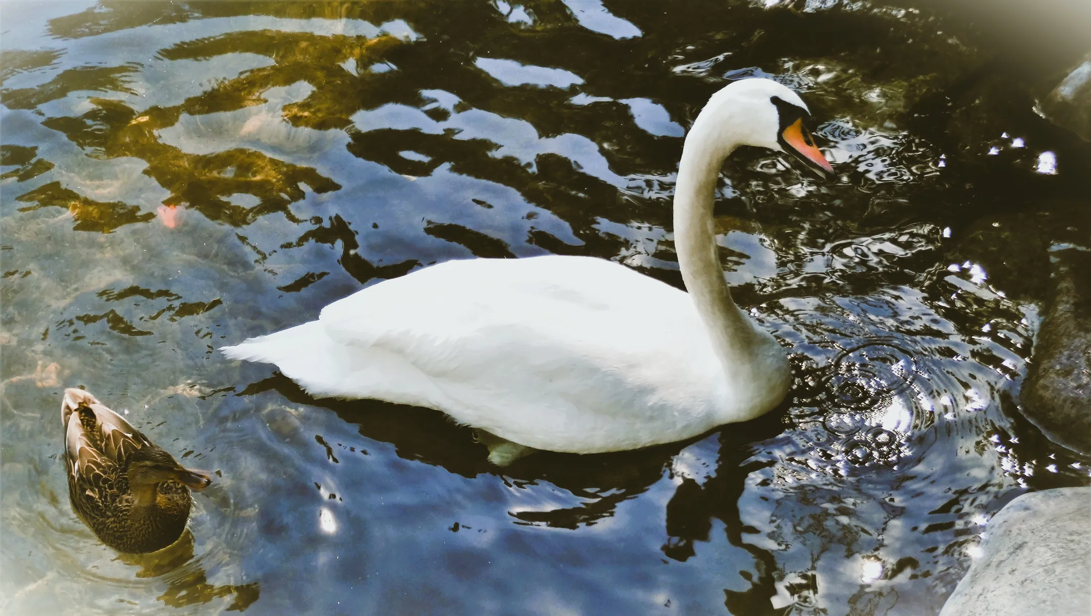 Untitled image