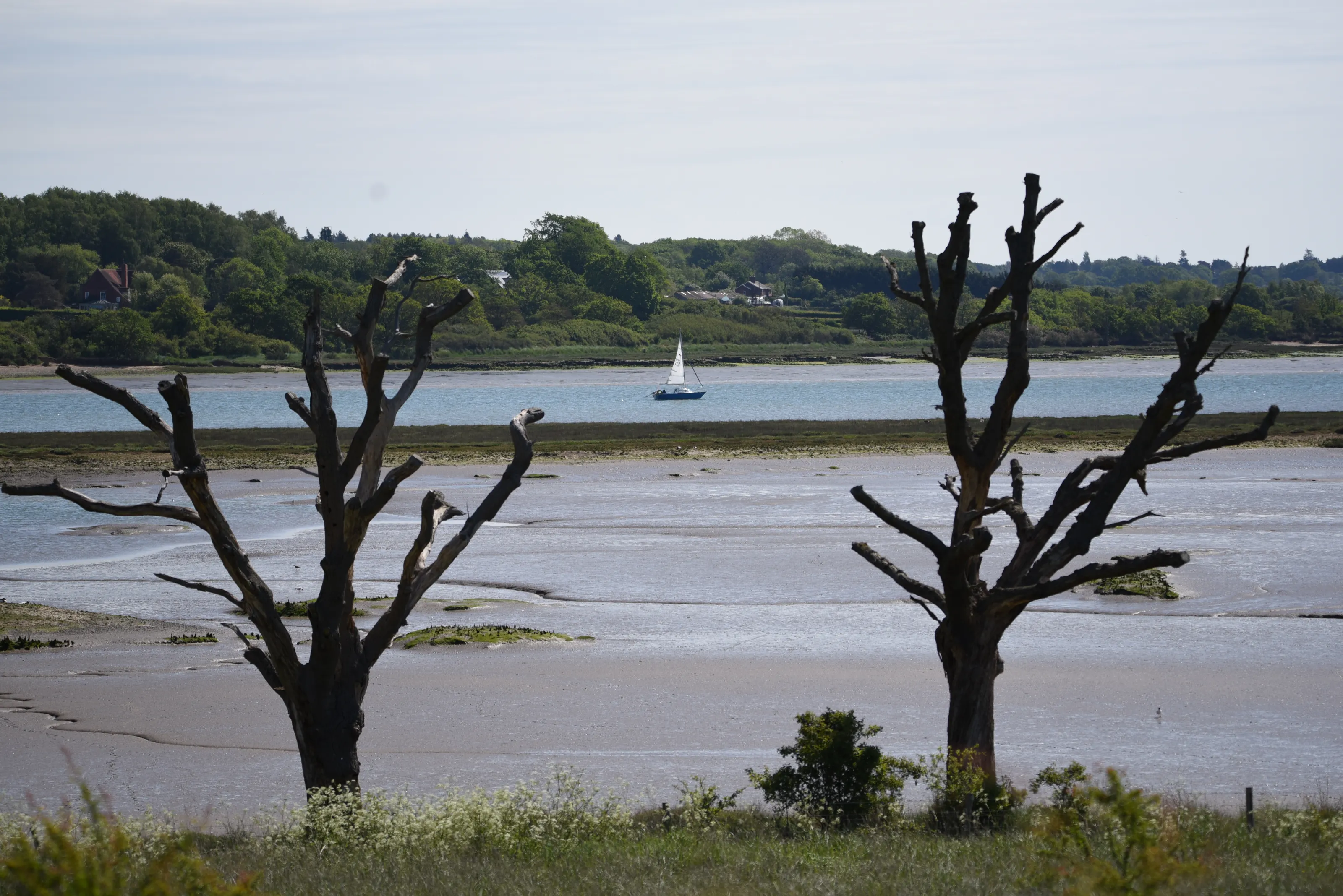 Fingringhoe Wick Reserve