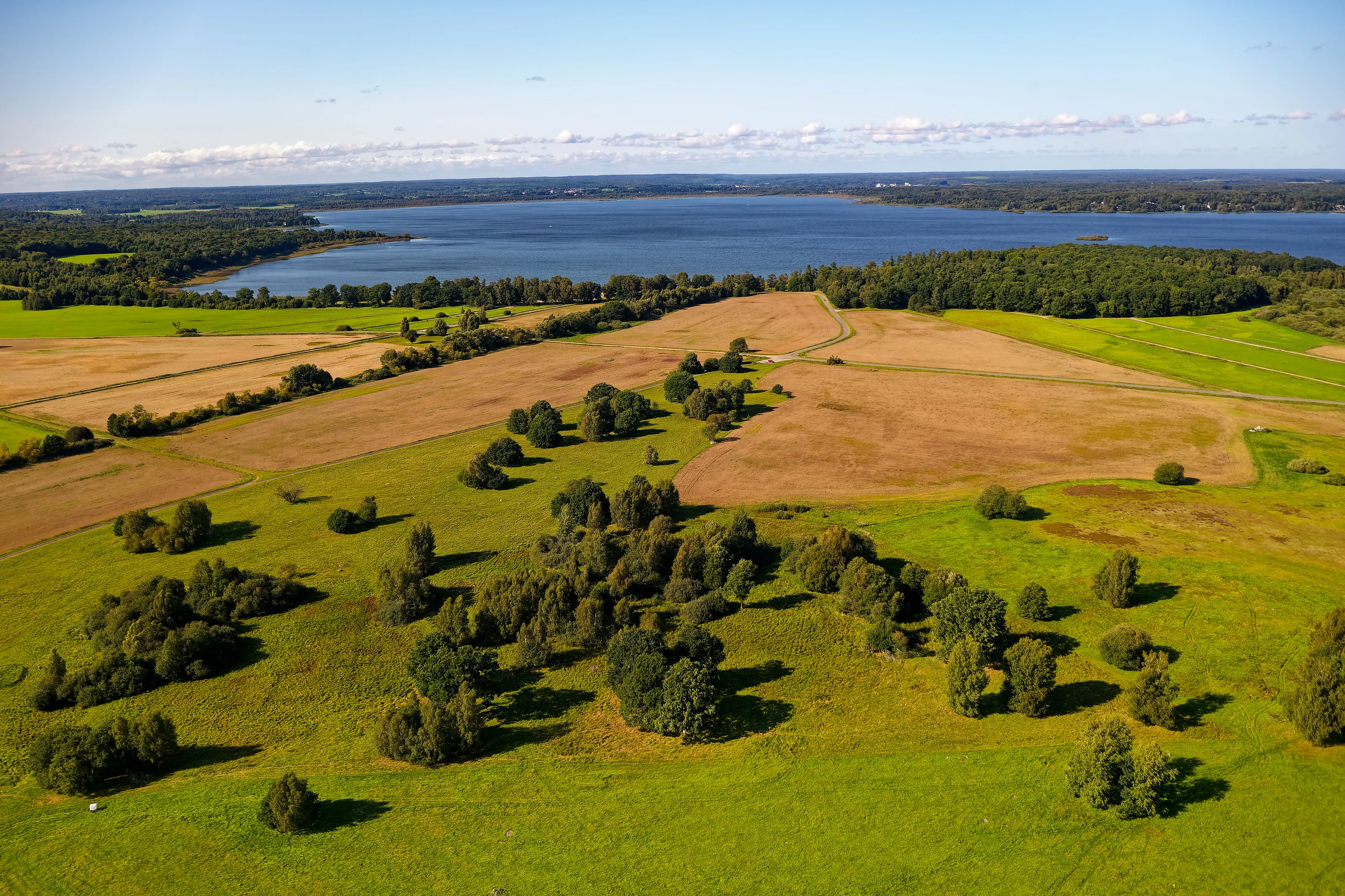 Aerial Views