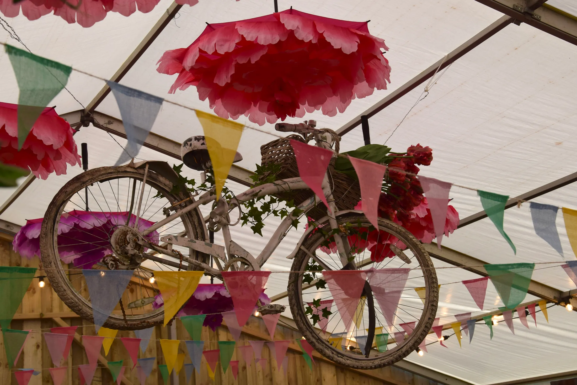 Bunting bicycle