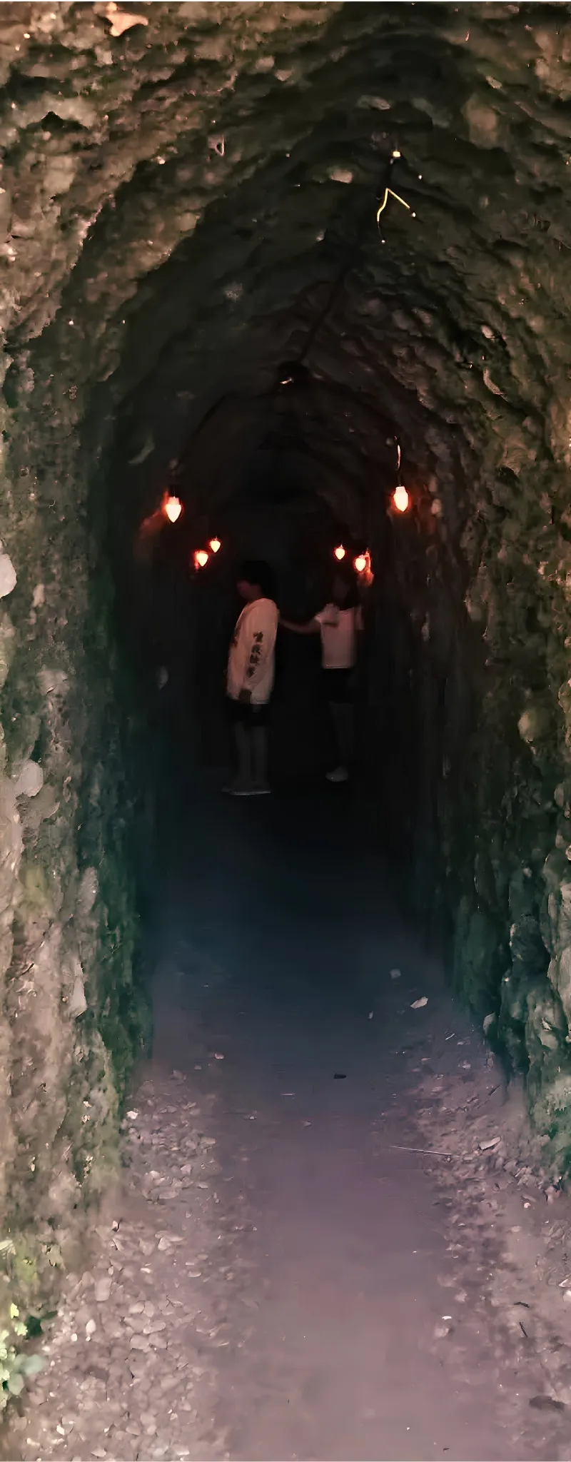 Inside Looking Out