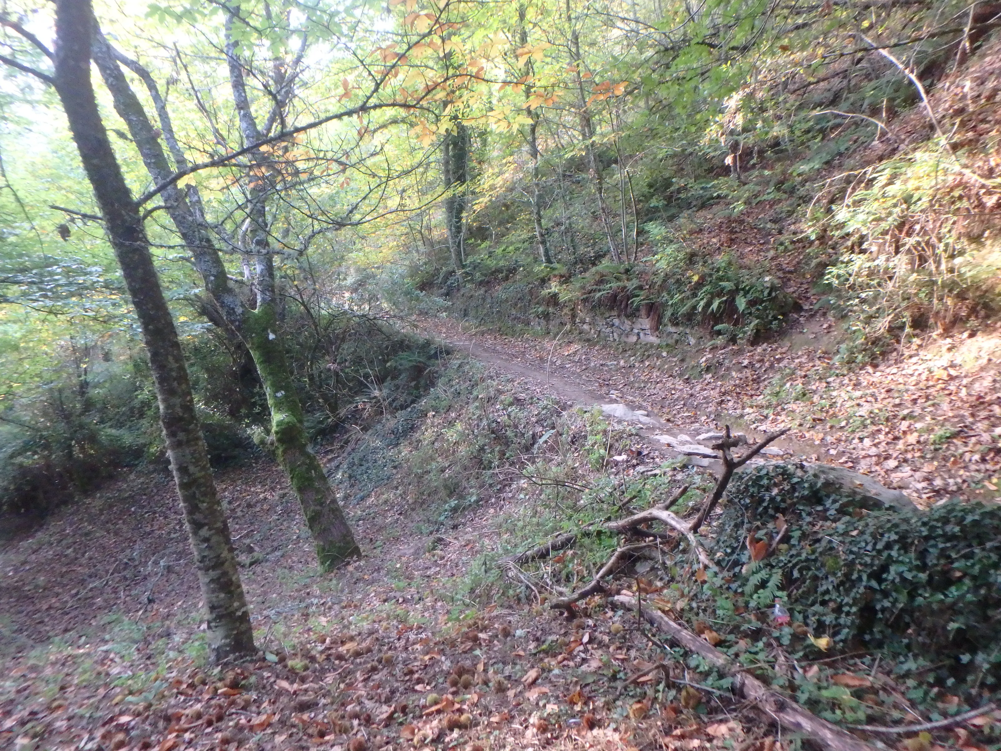 Empty Hiking Trails in Nature