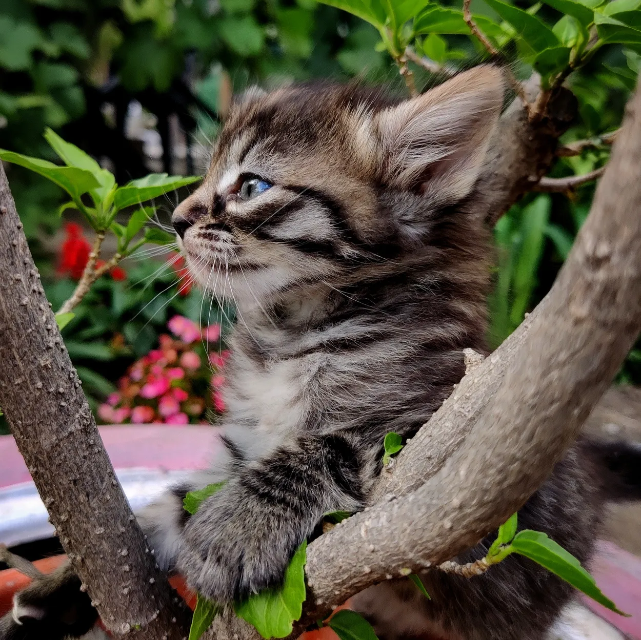 A Mammal’s Profile