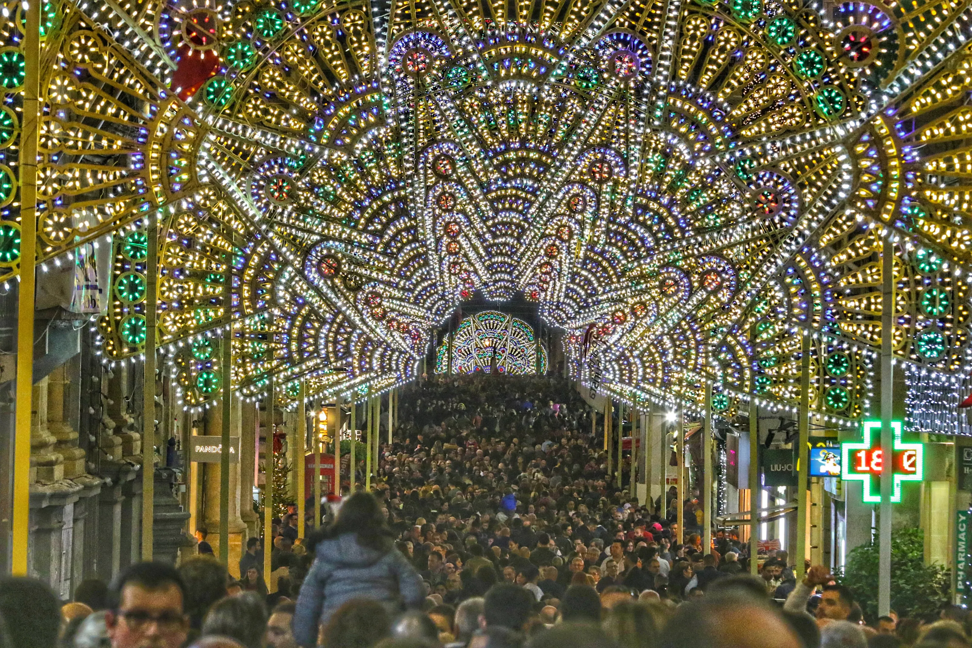 Flower lights
