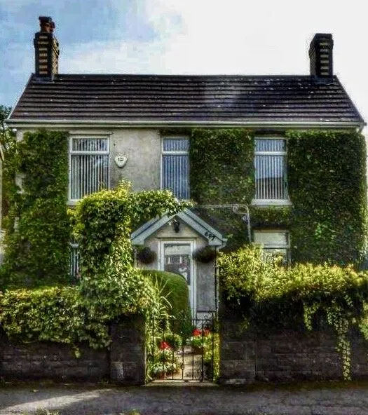 Overgrown Buildings (not ruins)