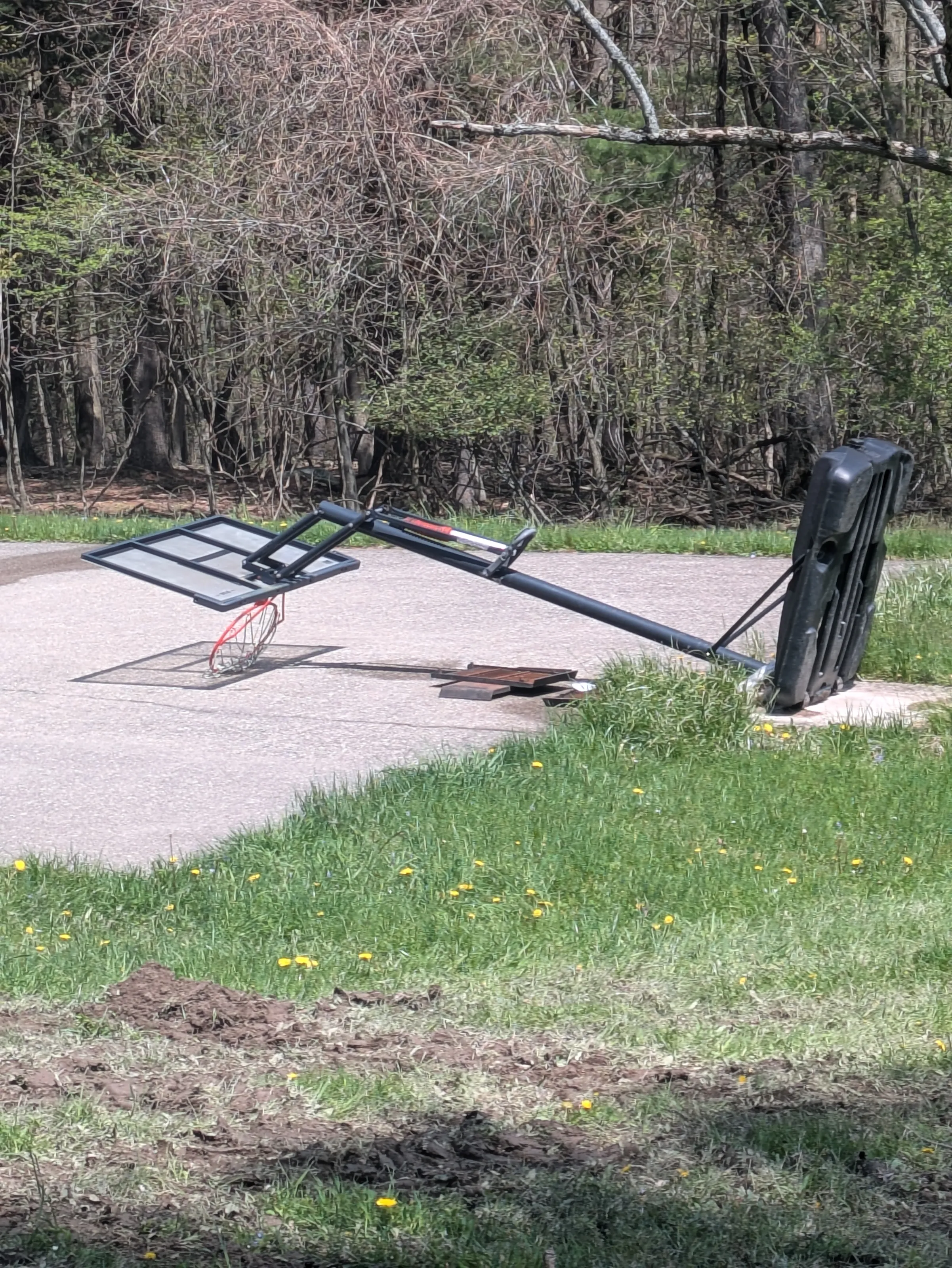 The Basketball Hoop
