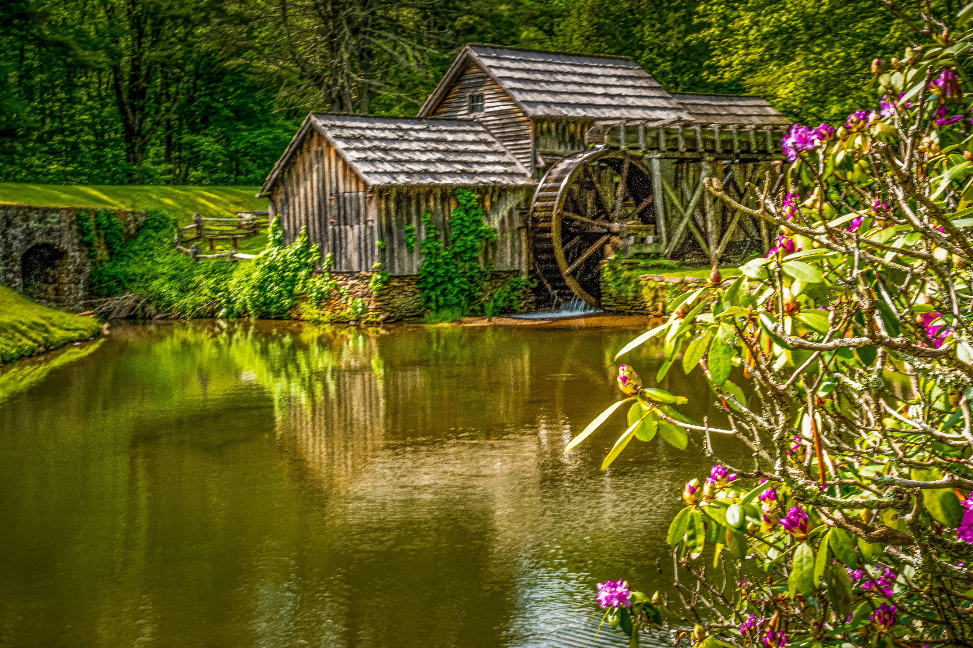 Mingus Mill in the Spring